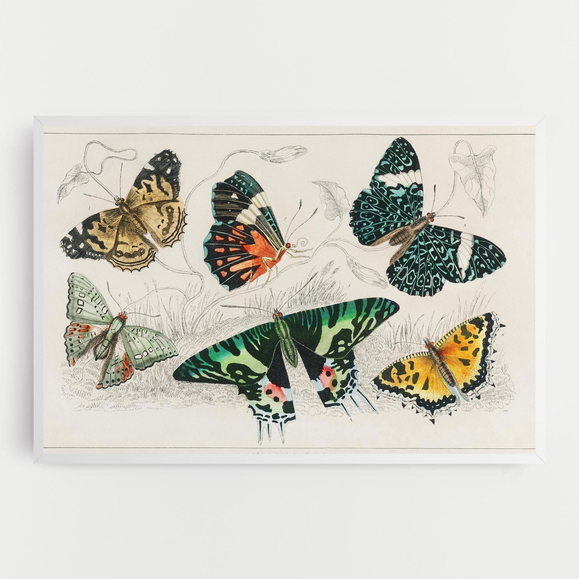 Butterfly Art mockup 0
