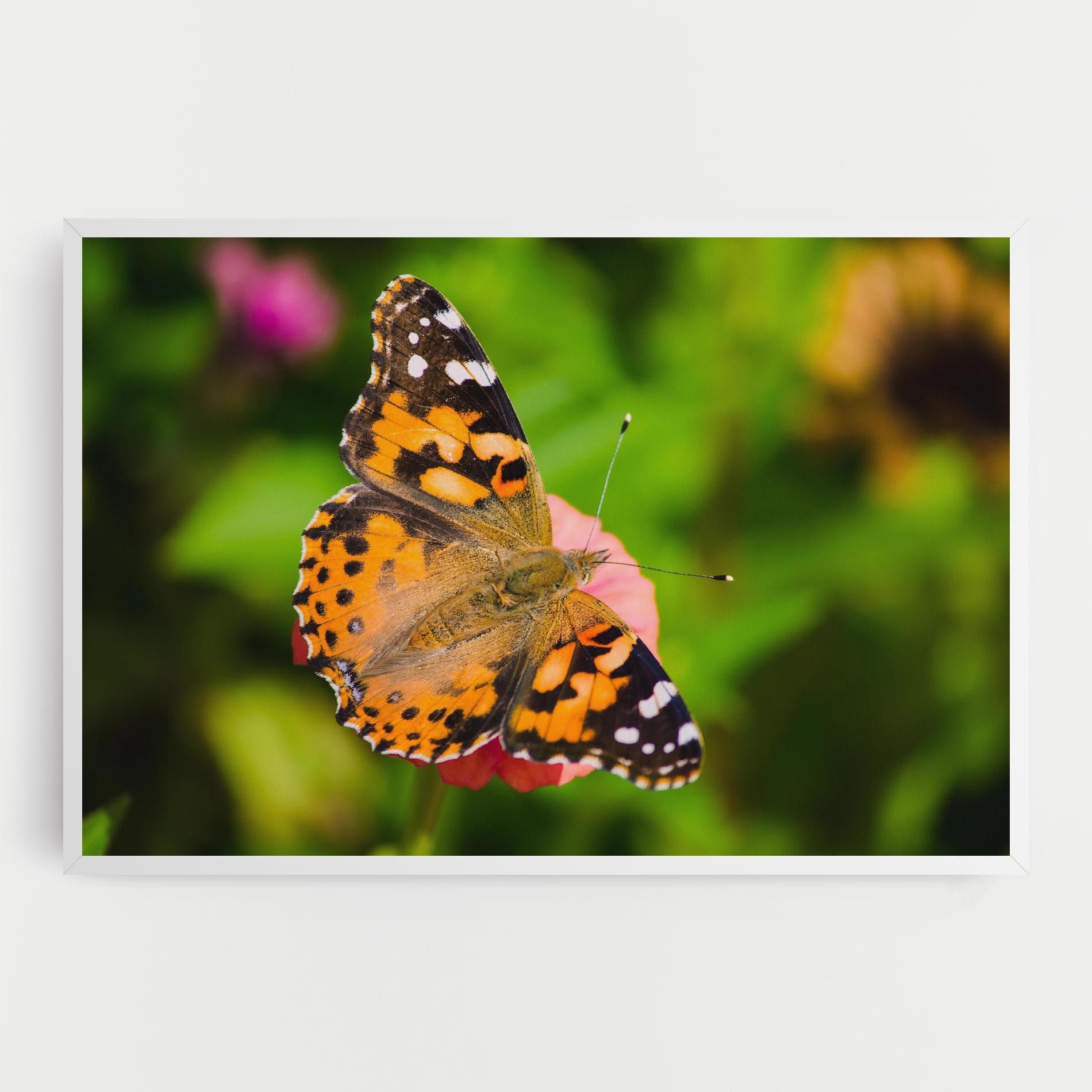 Butterfly On Flower mockup 0
