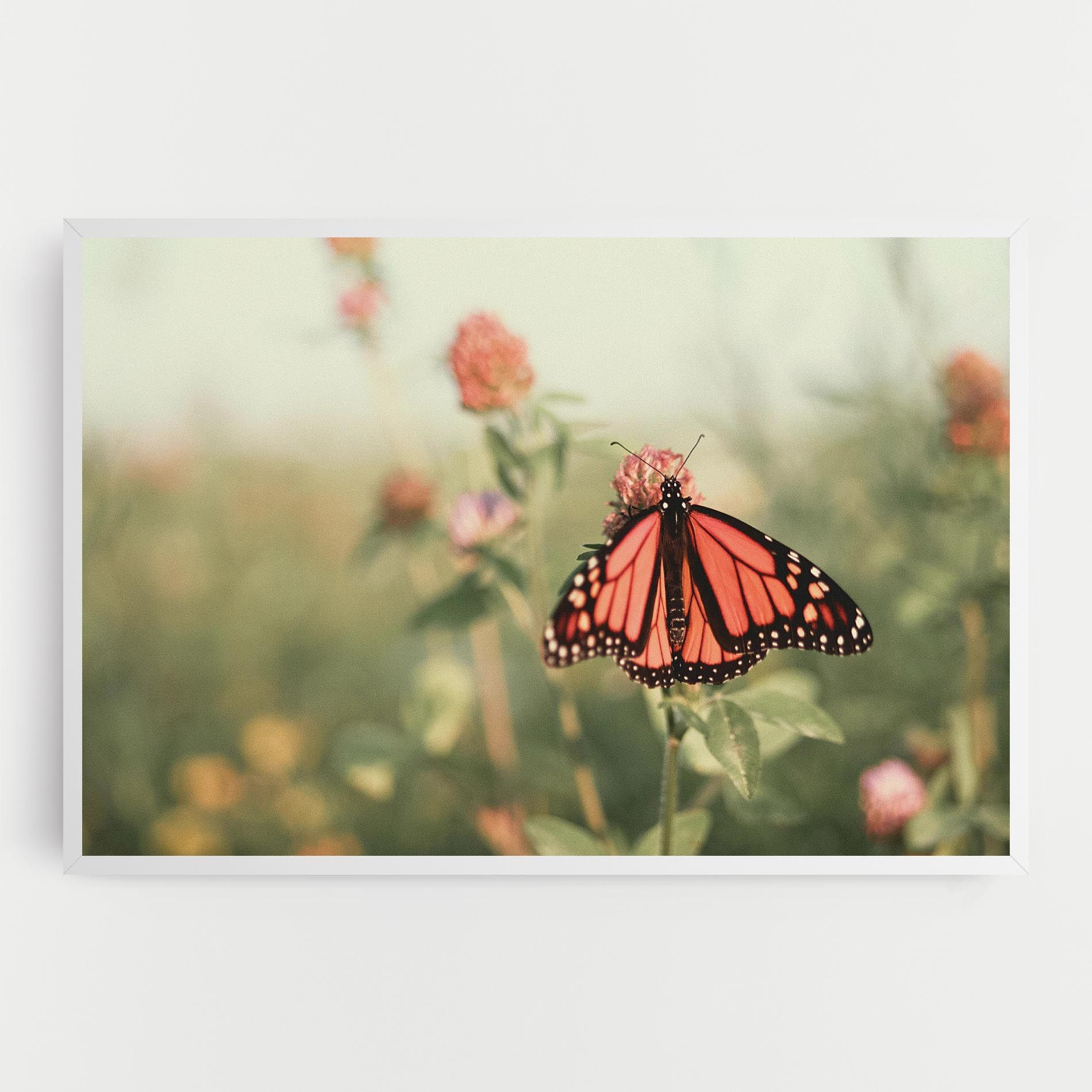 Light Red Butterfly mockup 0