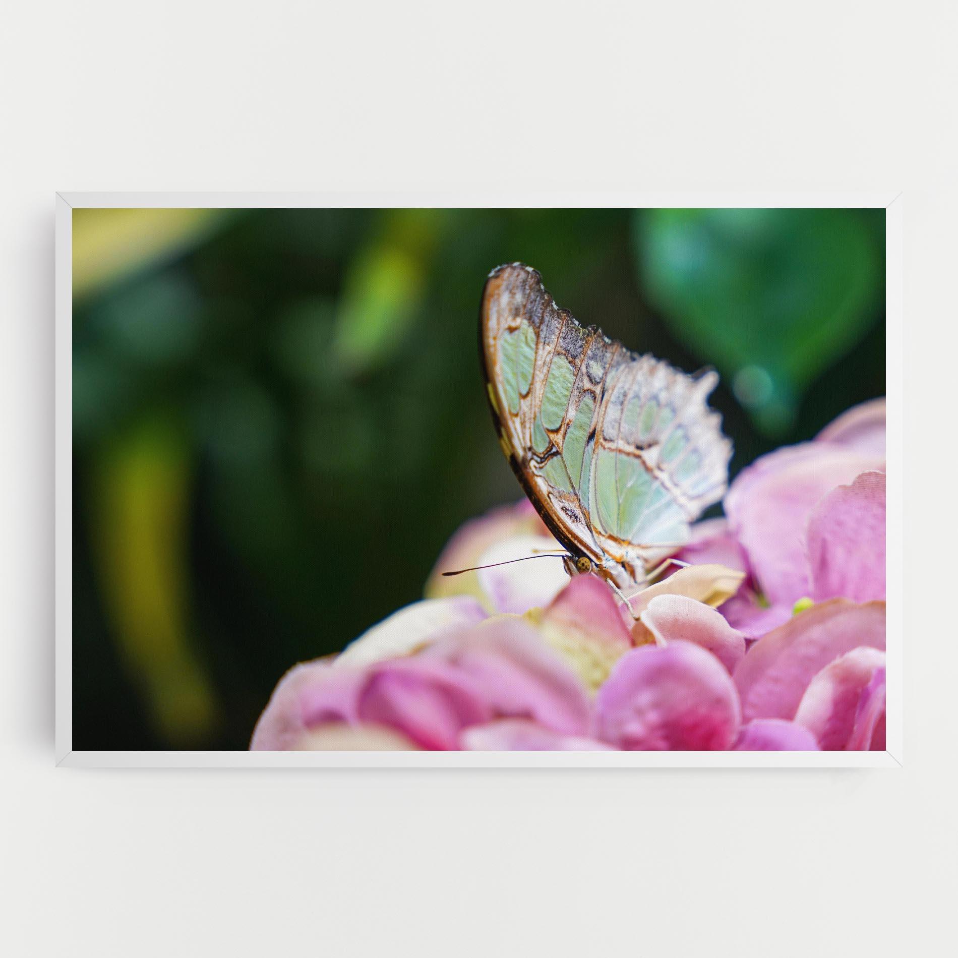 Tablou Canvas Nazrin Babashova DiUUmQMFWys Unsplash mockup 0