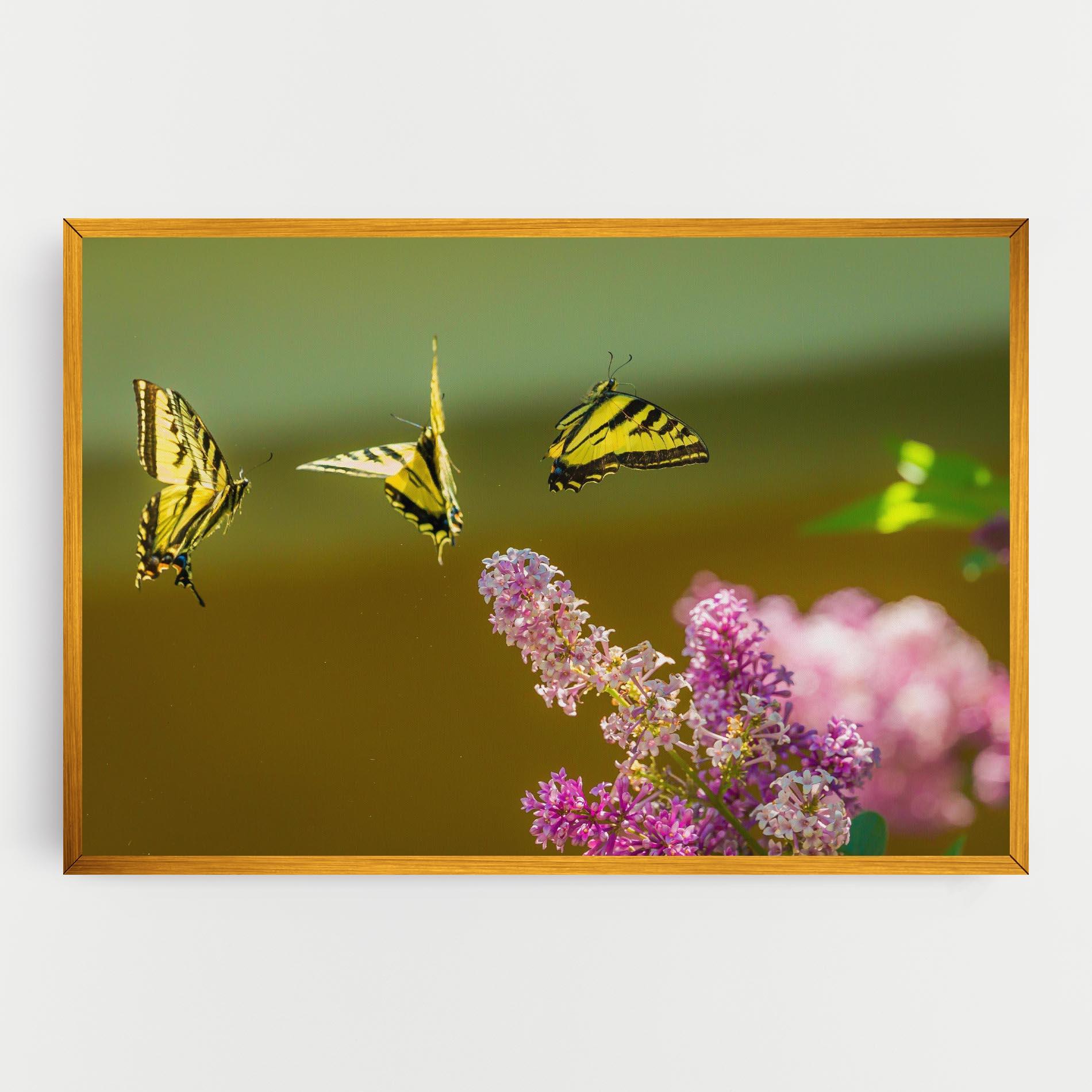 Tablou Canvas 3 Yellow Butterflies mockup 0