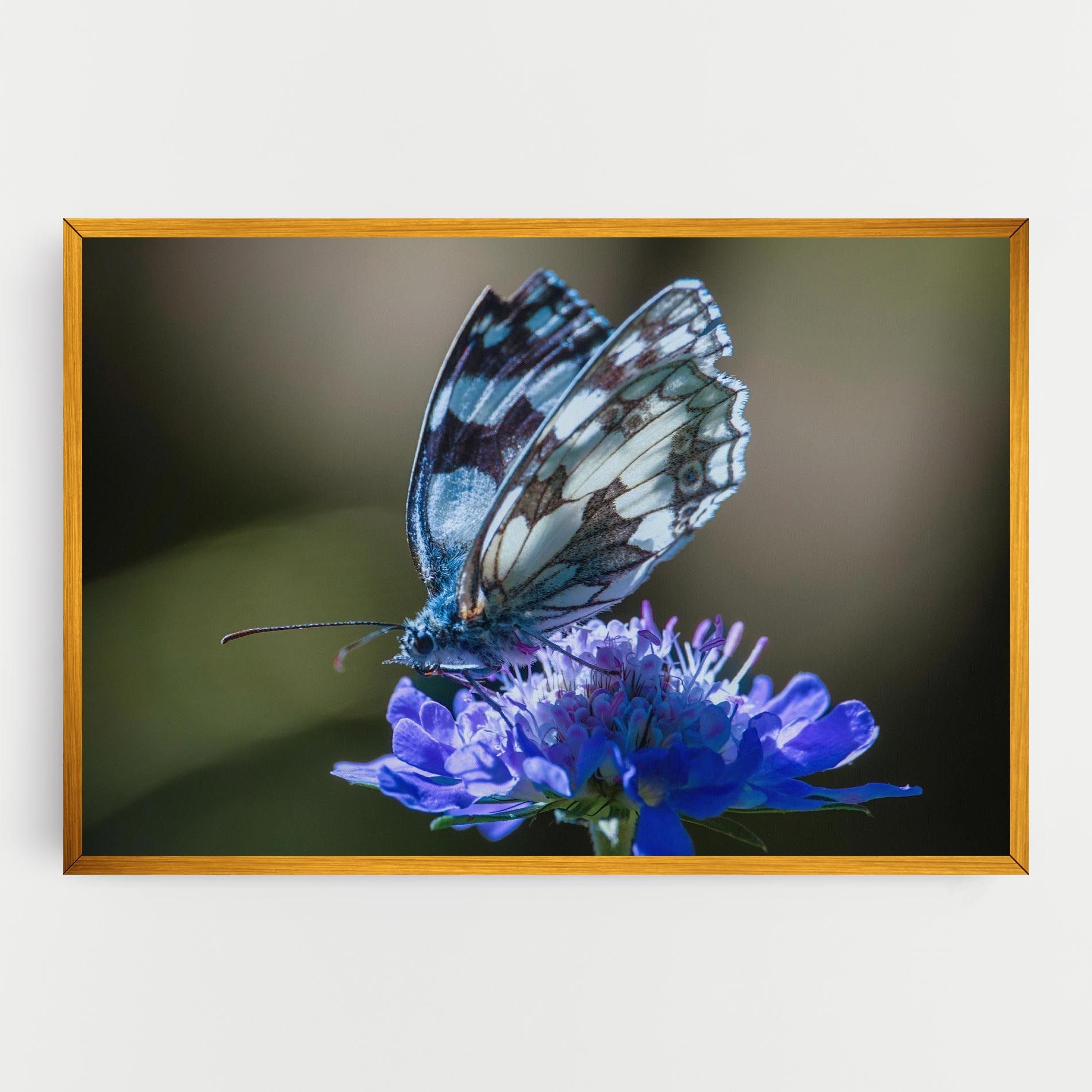 Blue Butterfly In Nature mockup 0