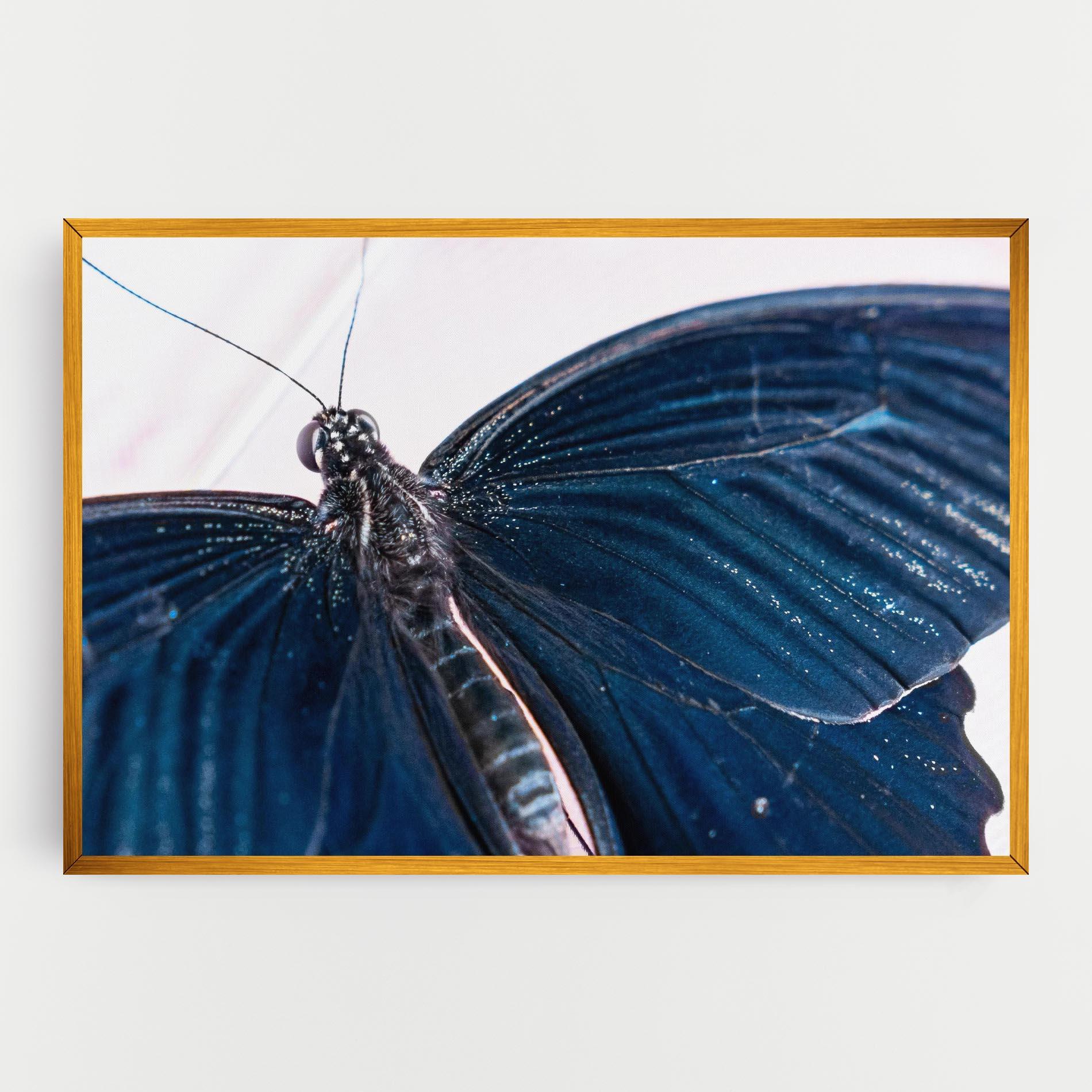 Tablou Canvas Blue Butterfly mockup 0