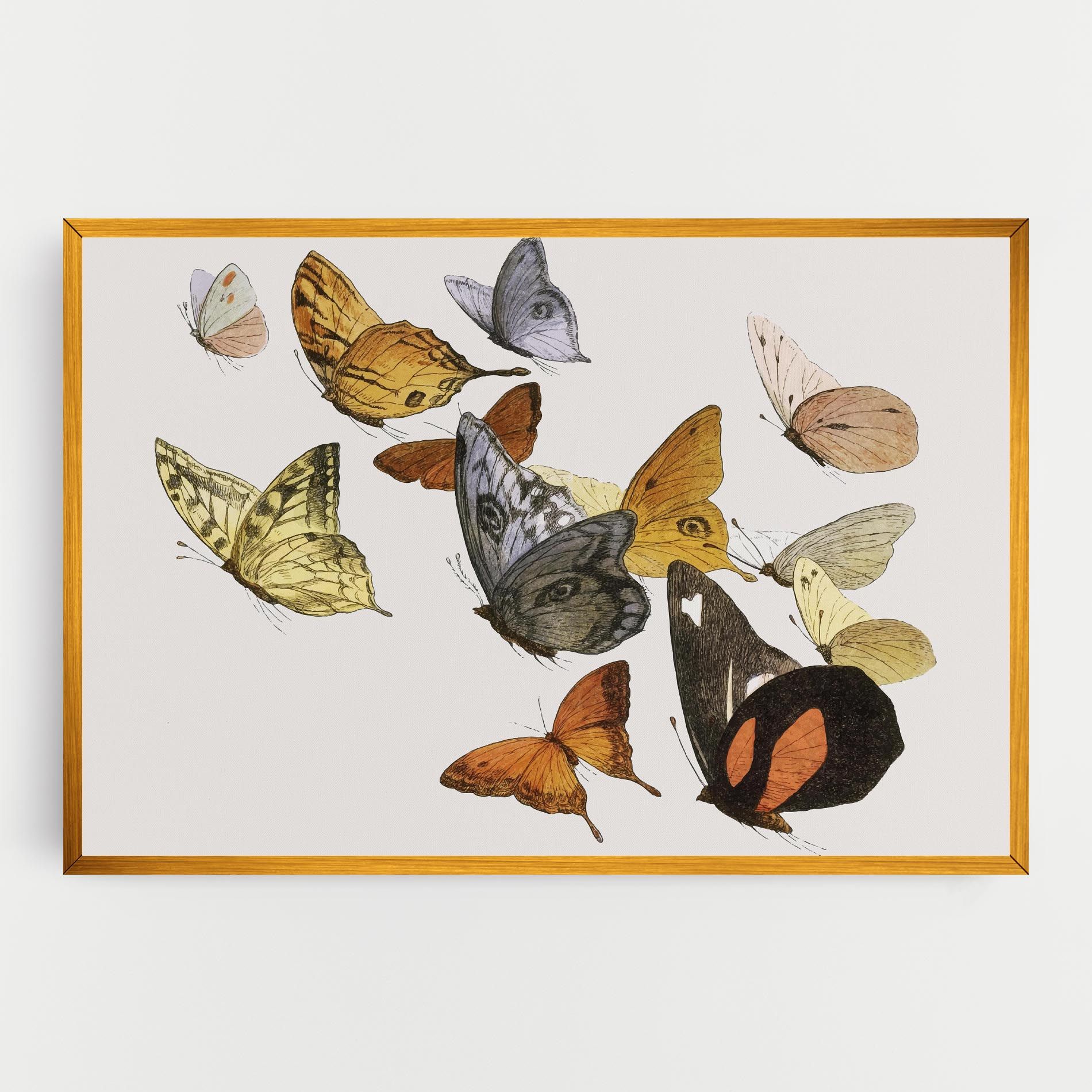 Butterfly Floating mockup 0