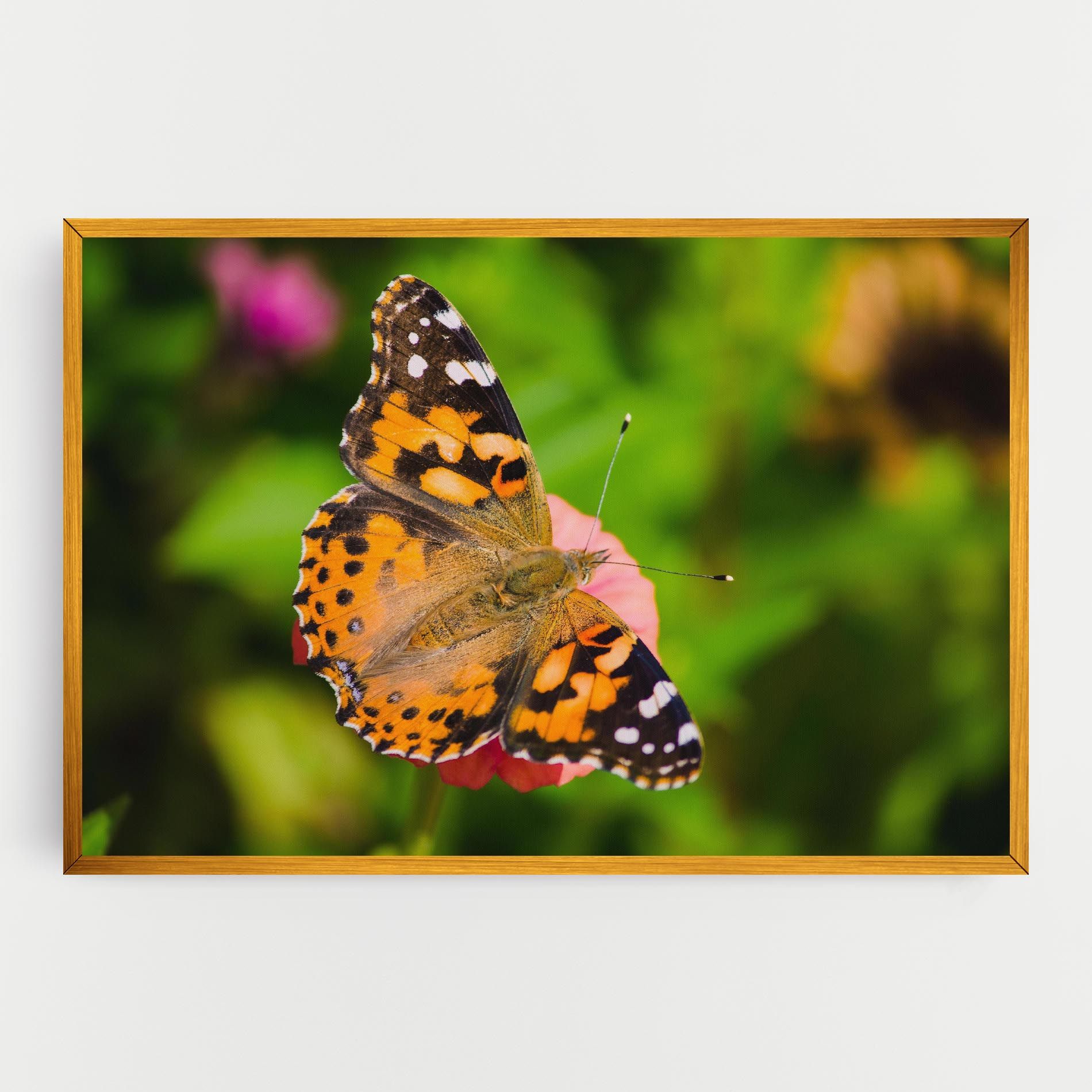 Butterfly On Flower mockup 0