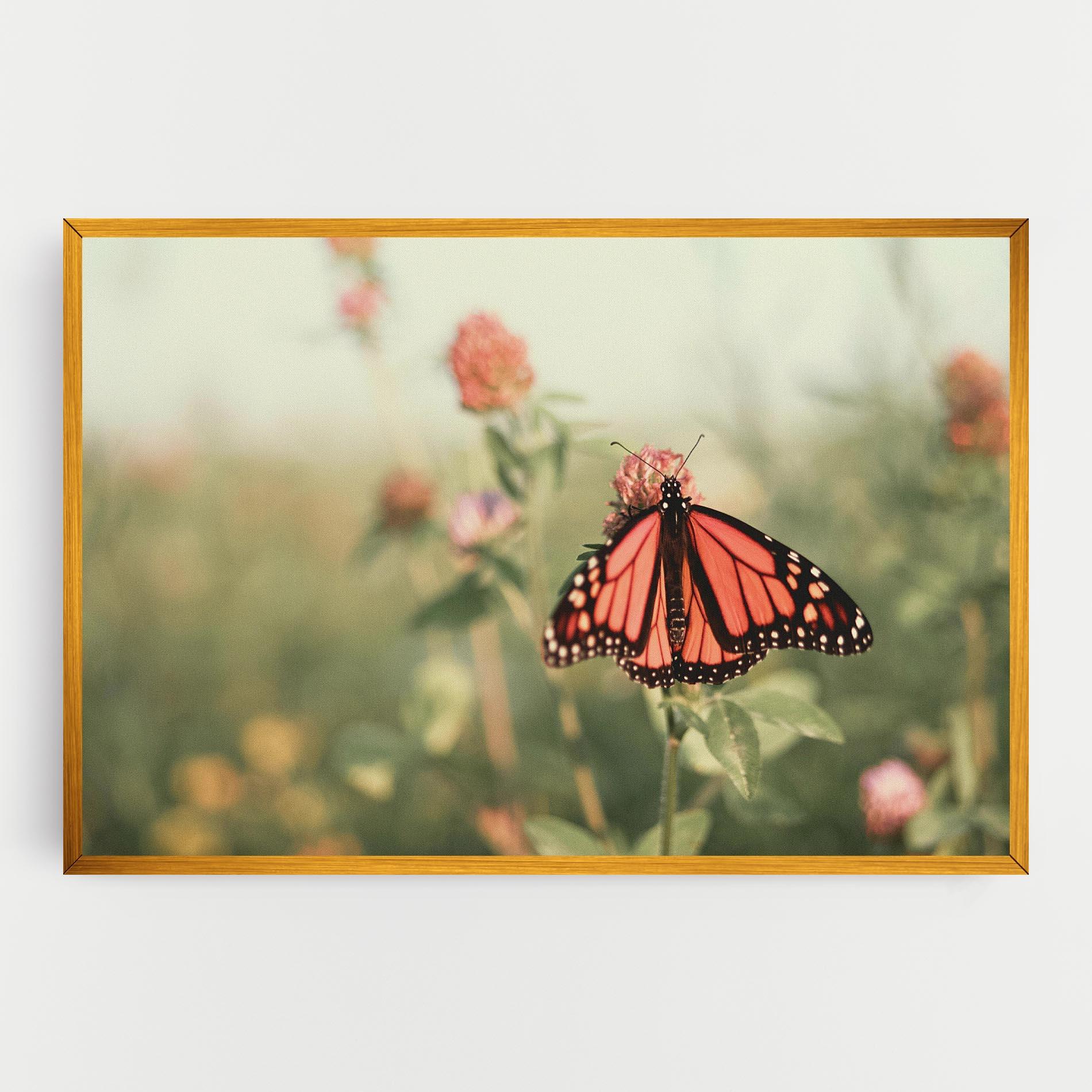 Tablou Canvas Light Red Butterfly mockup 0