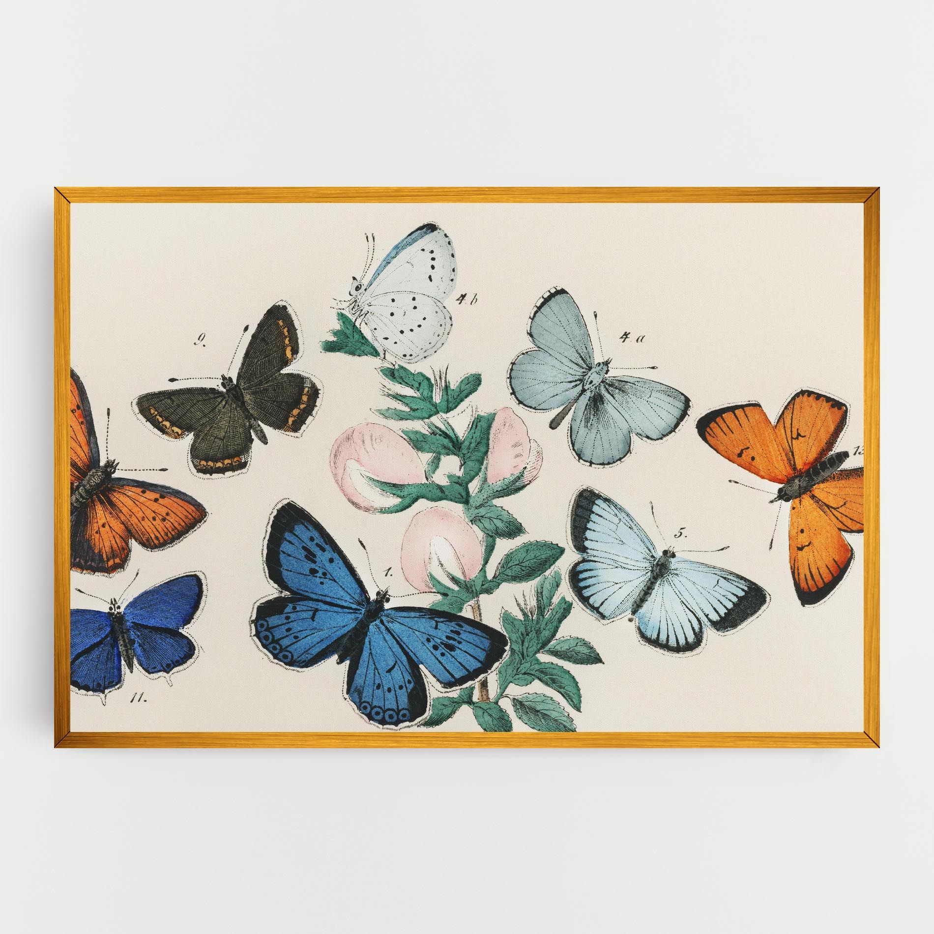 Moving Butterflies mockup 0
