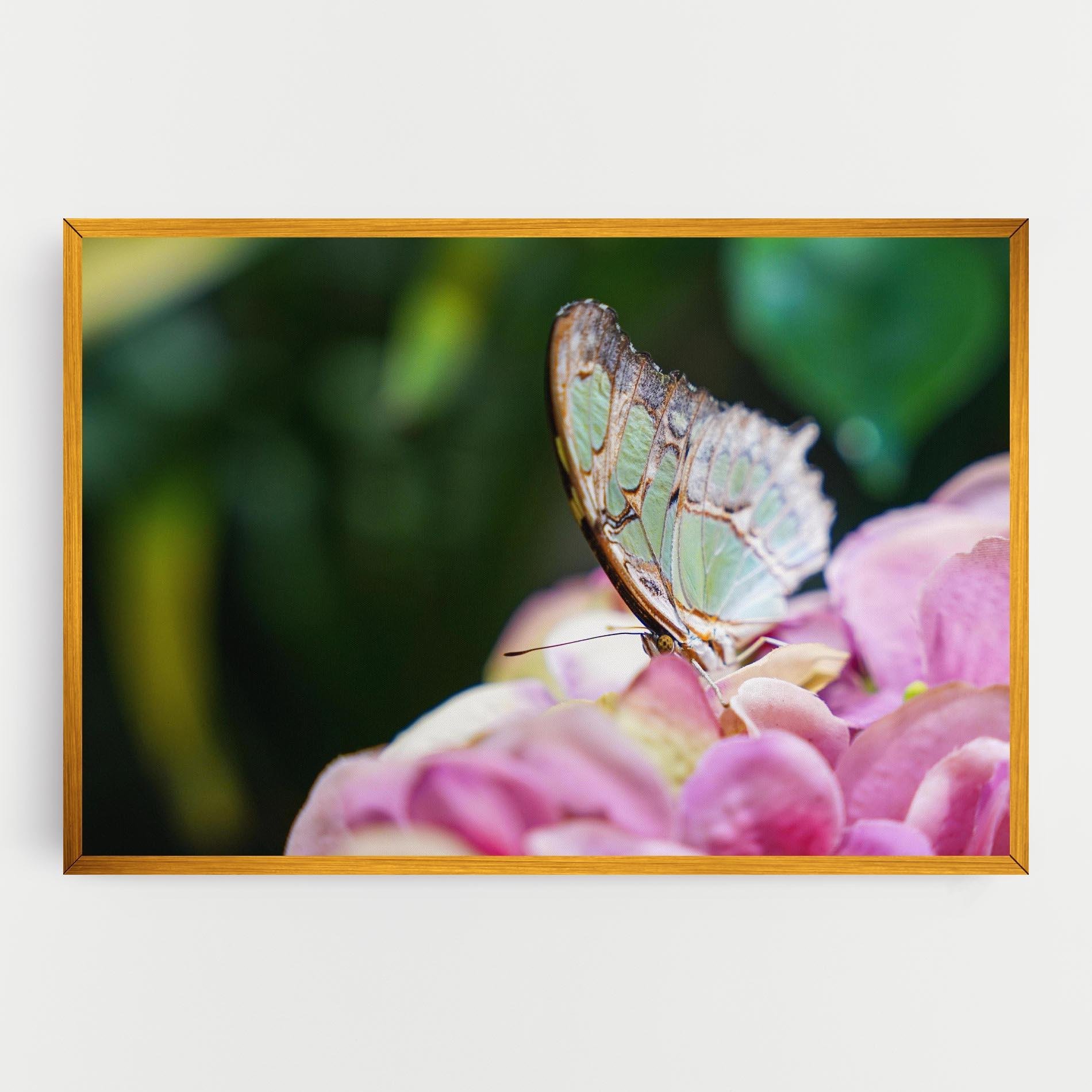 Tablou Canvas Nazrin Babashova DiUUmQMFWys Unsplash mockup 0