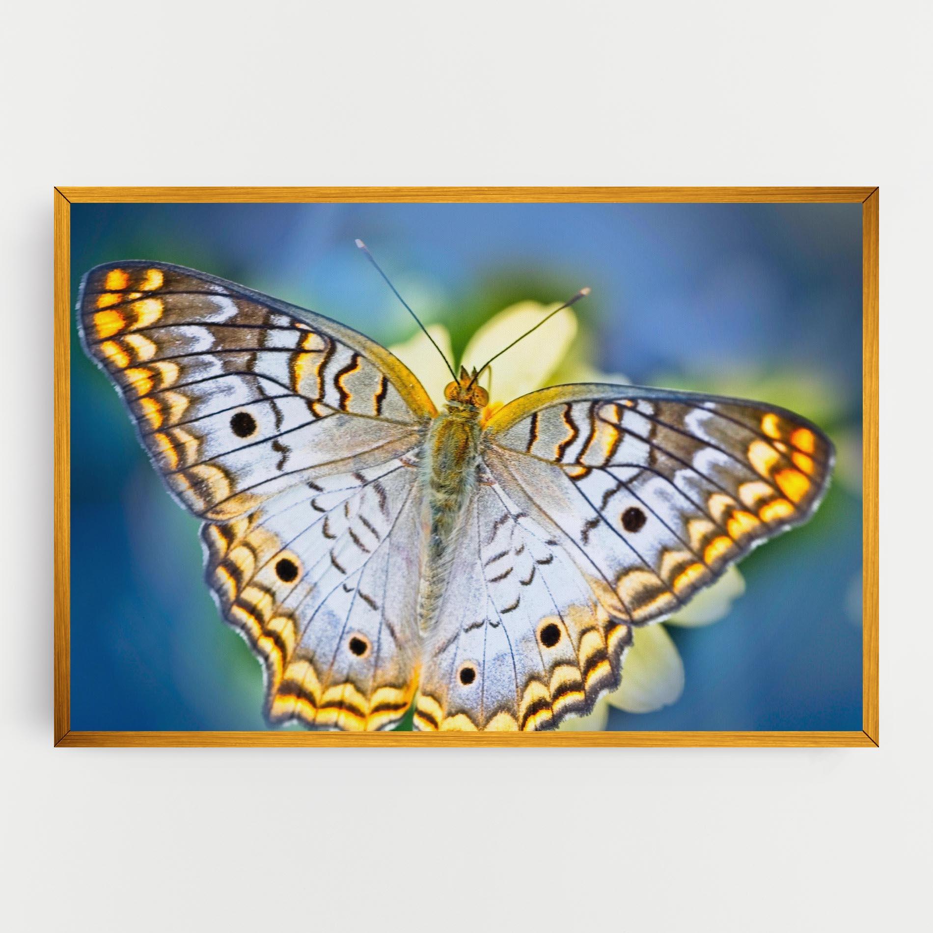 Tablou Canvas Yellow Grey Butterfly mockup 0