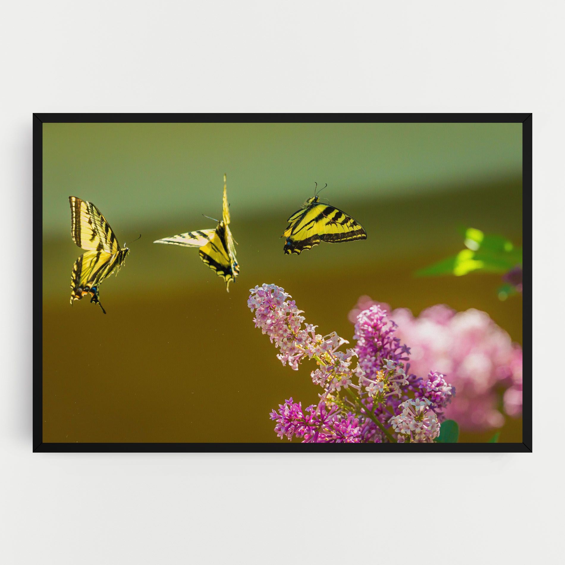 3 Yellow Butterflies mockup 0