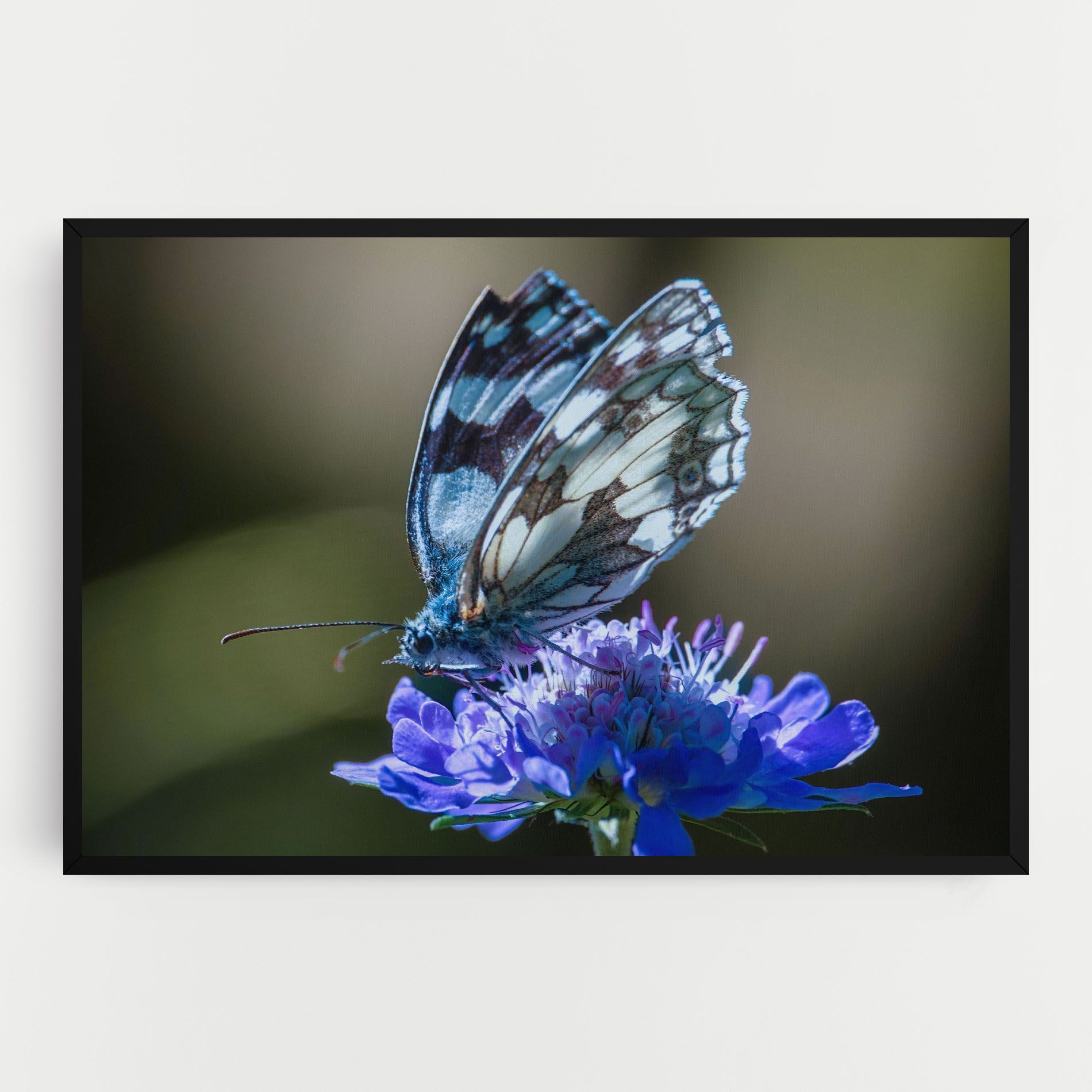 Blue Butterfly In Nature mockup 0
