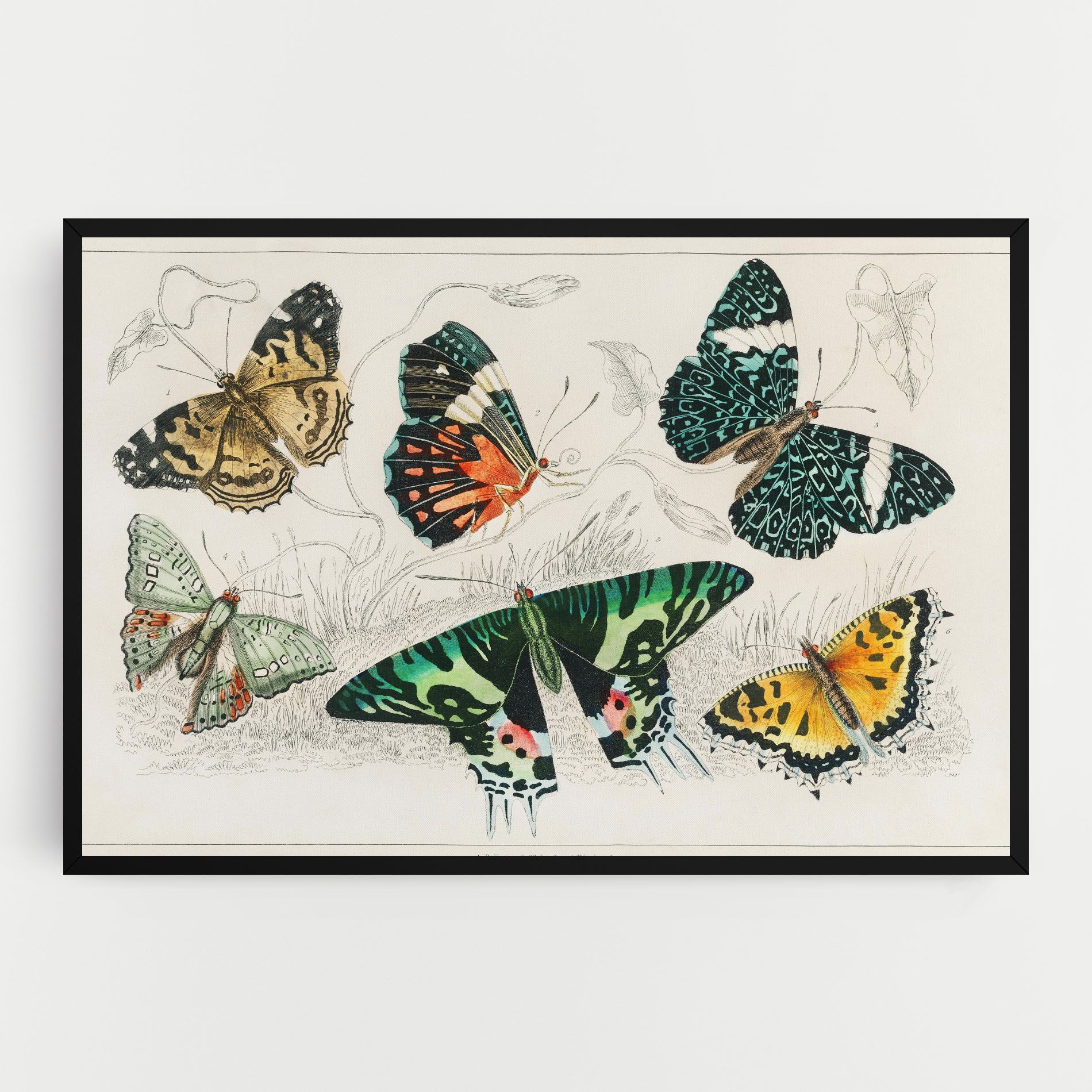 Butterfly Art mockup 0