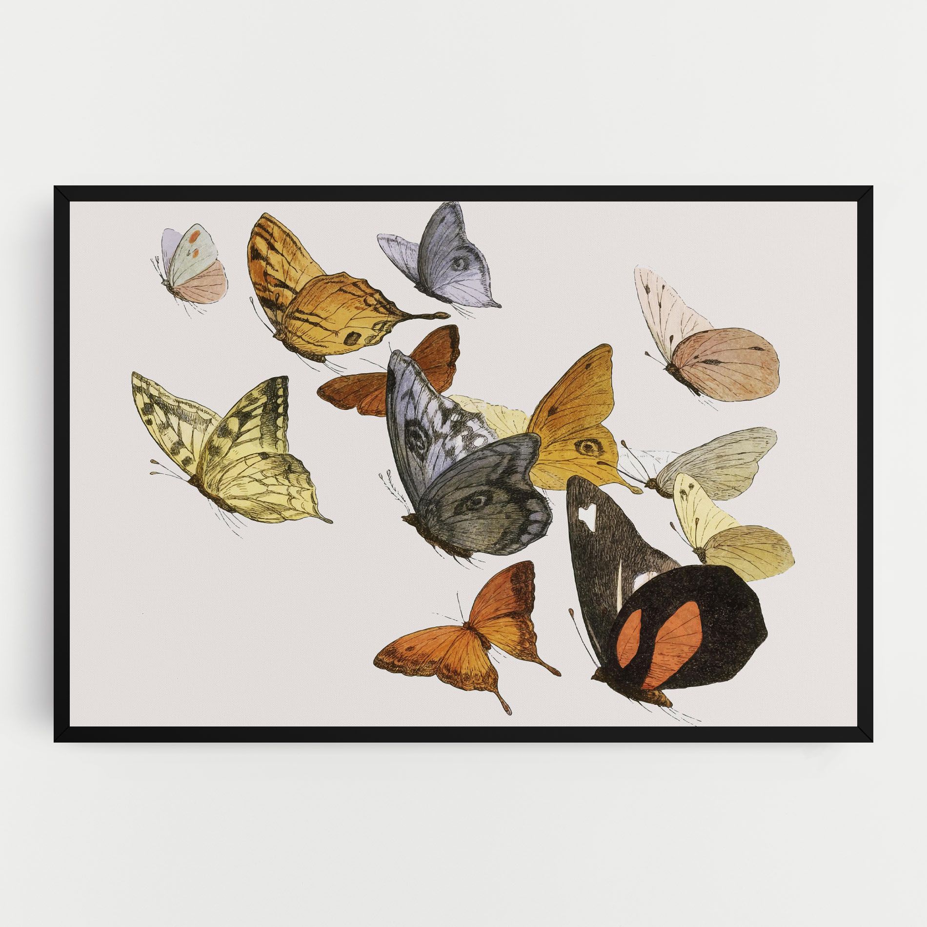 Butterfly Floating mockup 0