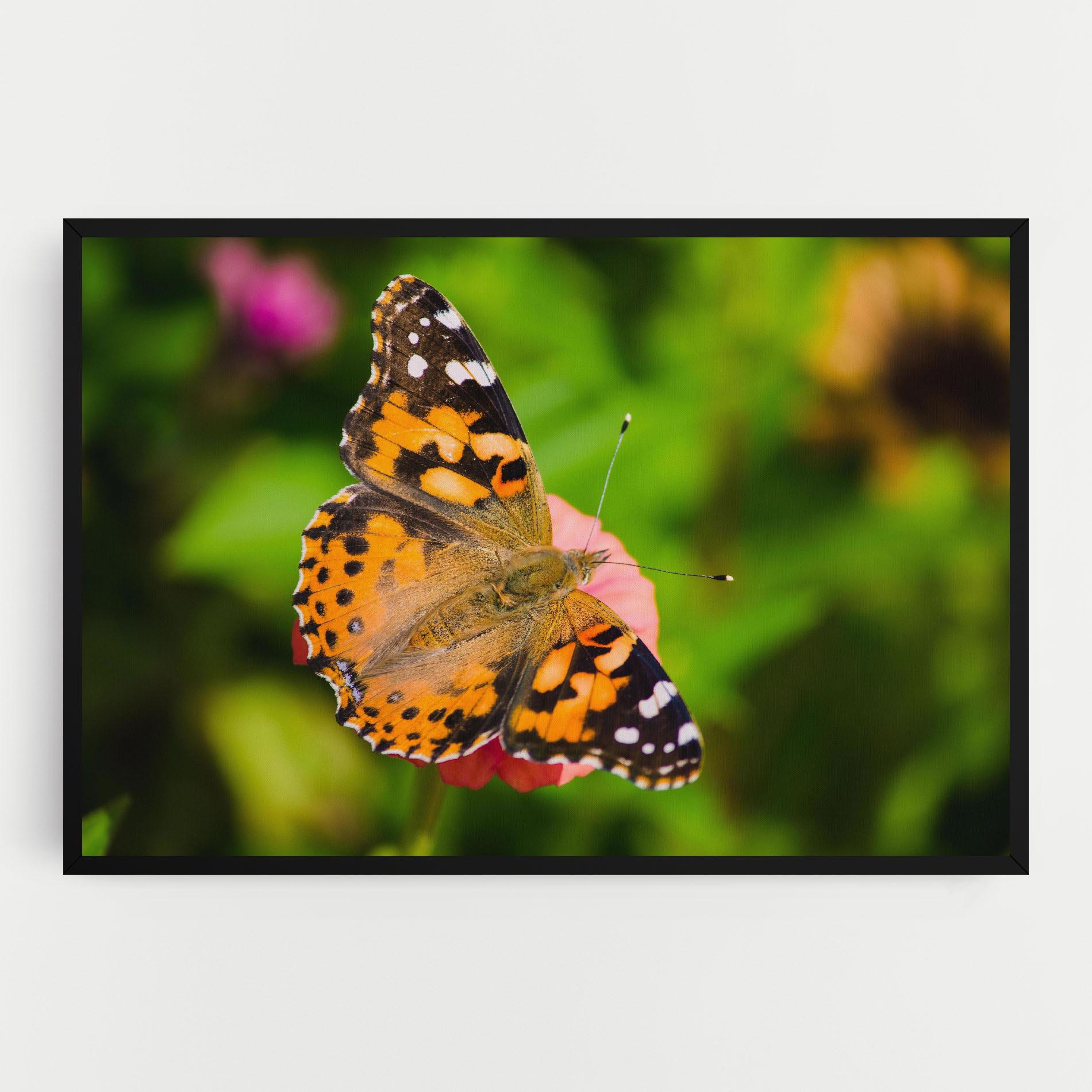 Tablou Canvas Butterfly On Flower mockup 0
