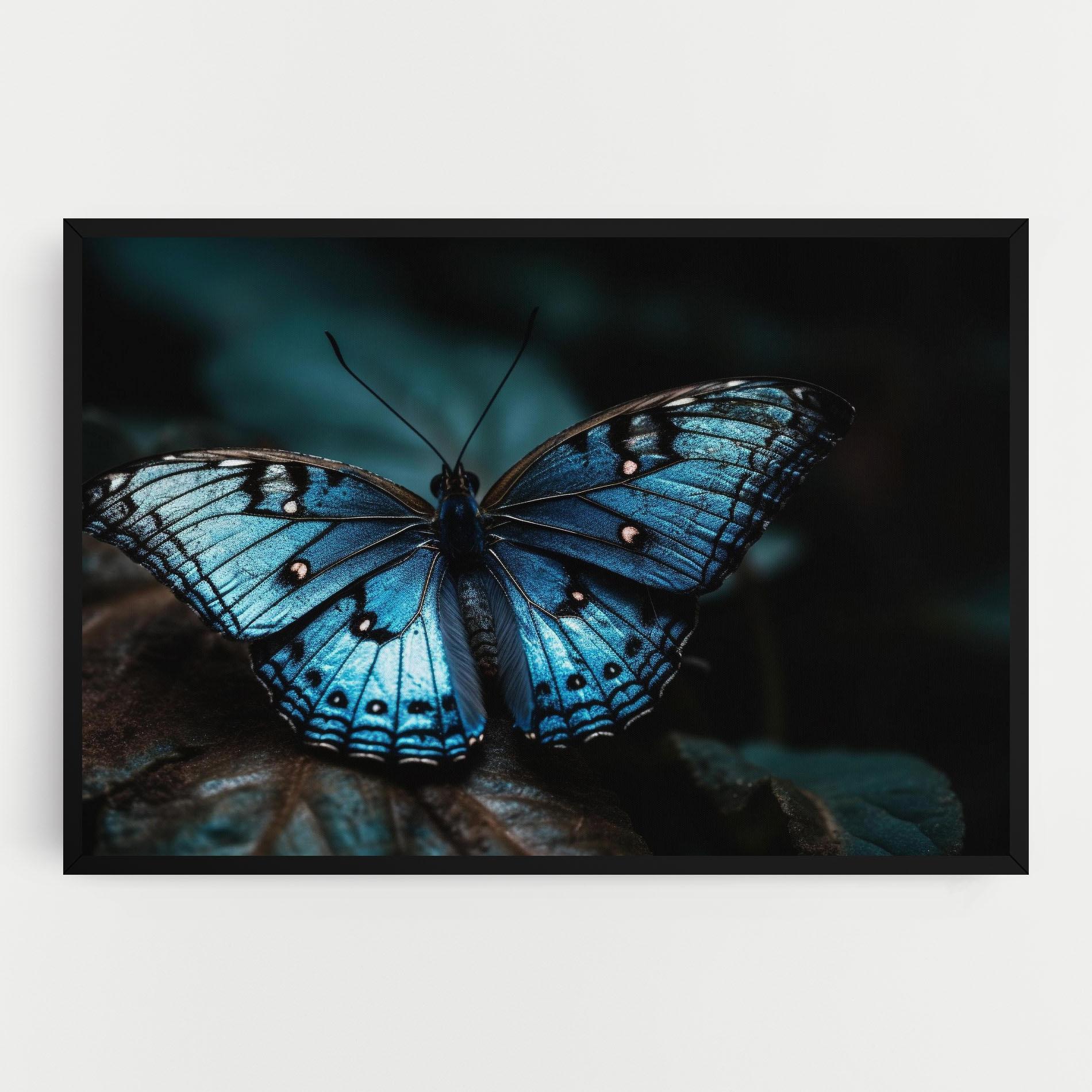 Tablou Canvas Dark Blue Buterfly mockup 0