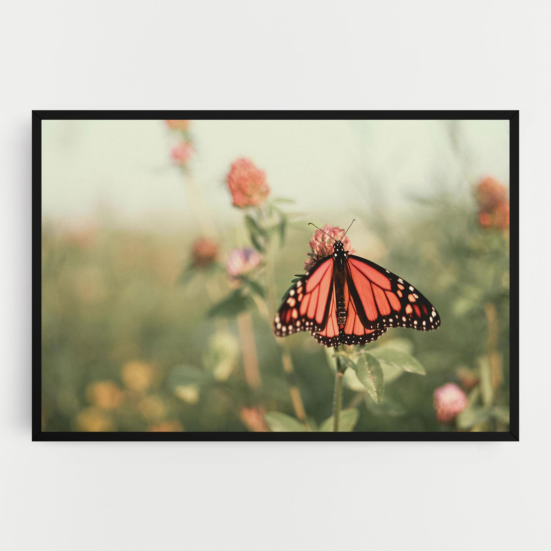 Tablou Canvas Light Red Butterfly mockup 0