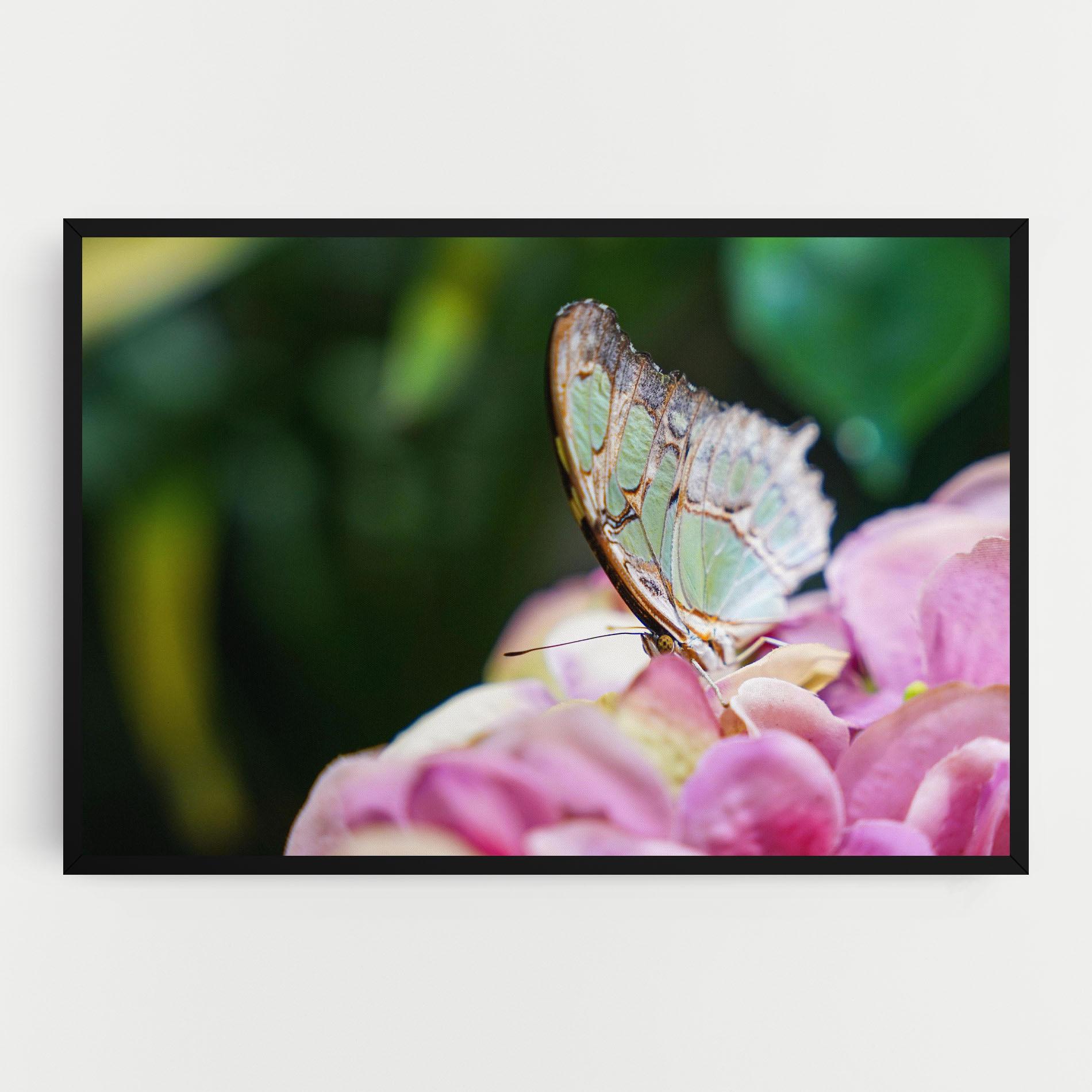 Tablou Canvas Nazrin Babashova DiUUmQMFWys Unsplash mockup 0