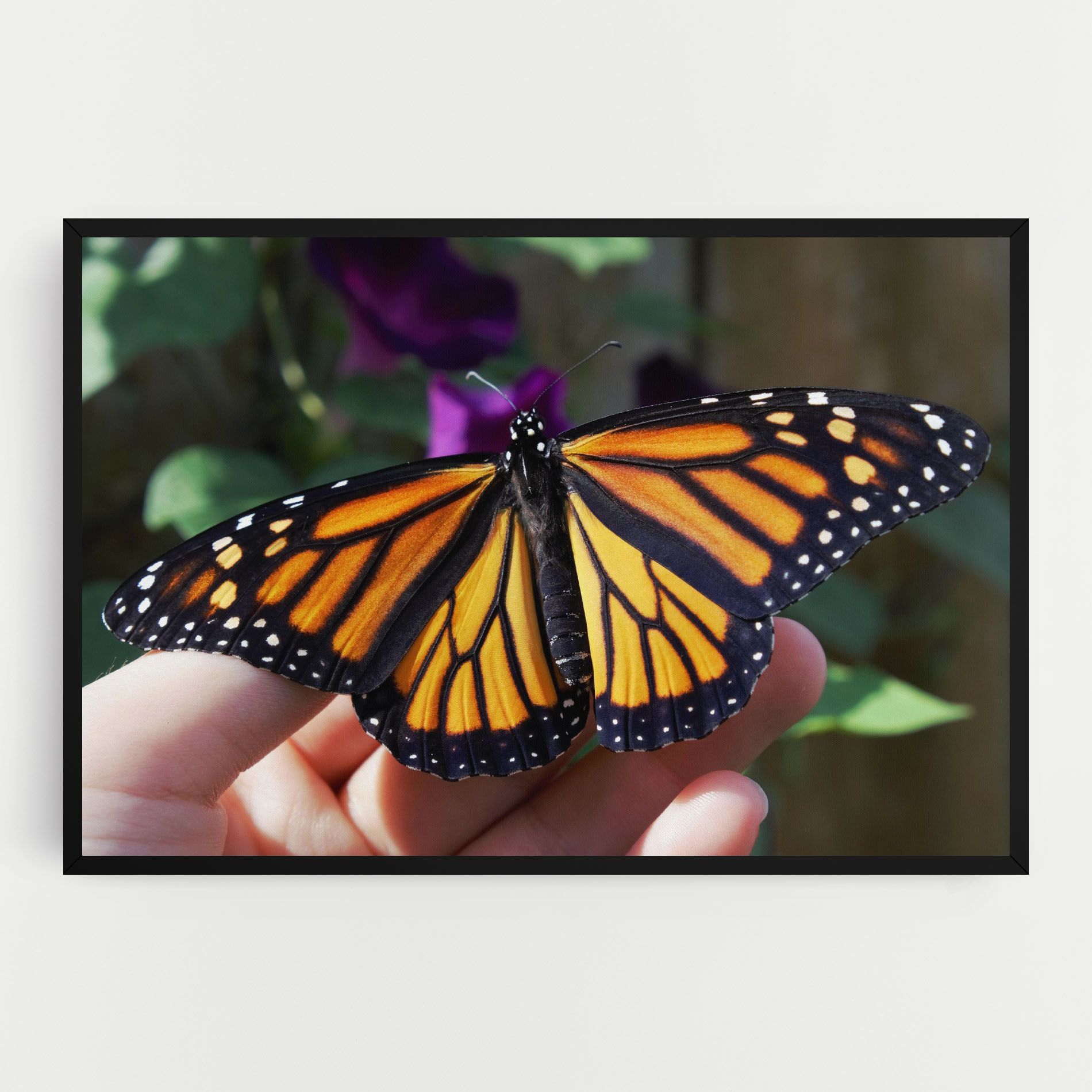 Open Orange Butterfly mockup 0