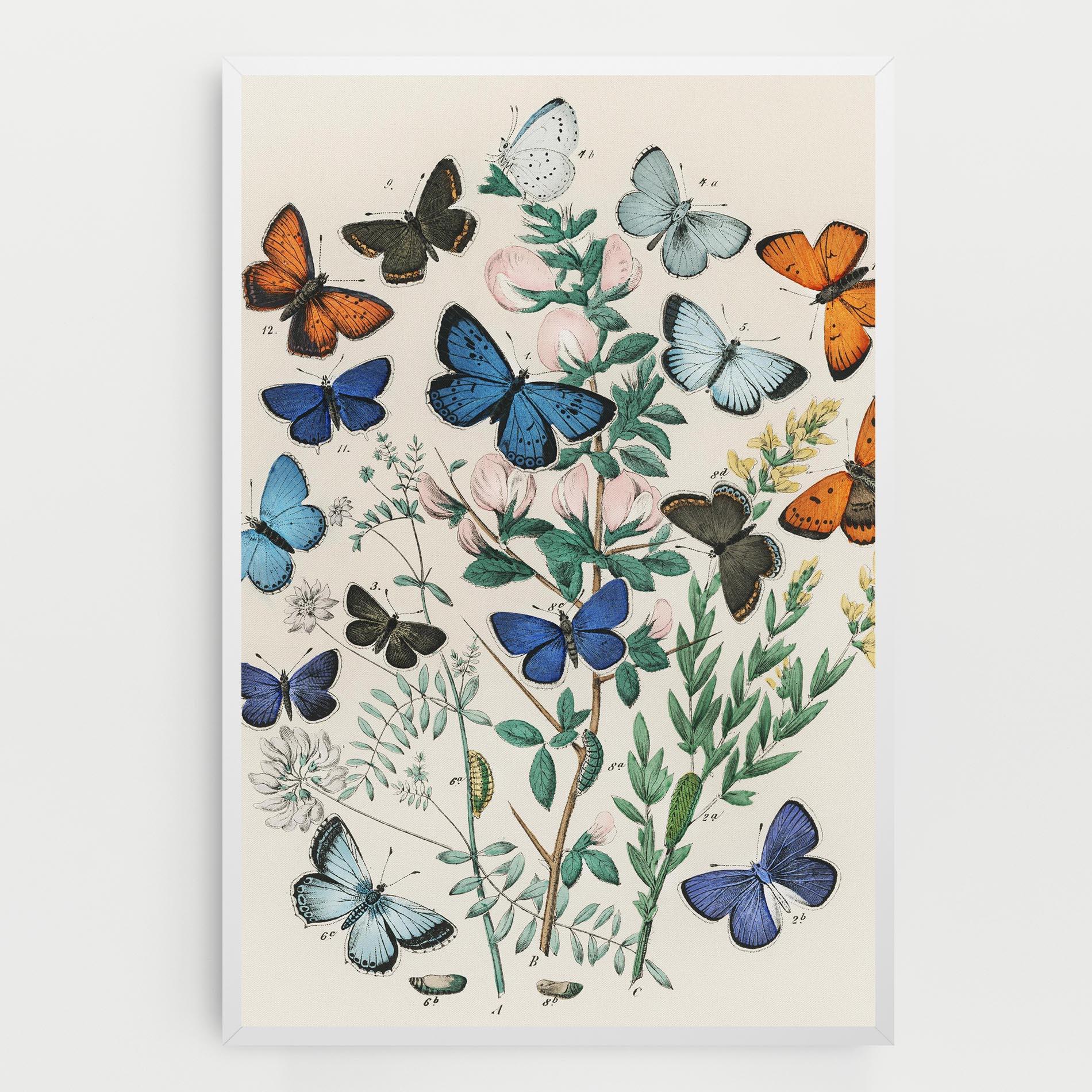 Tablou Canvas Blue Orange Butterflies mockup 0