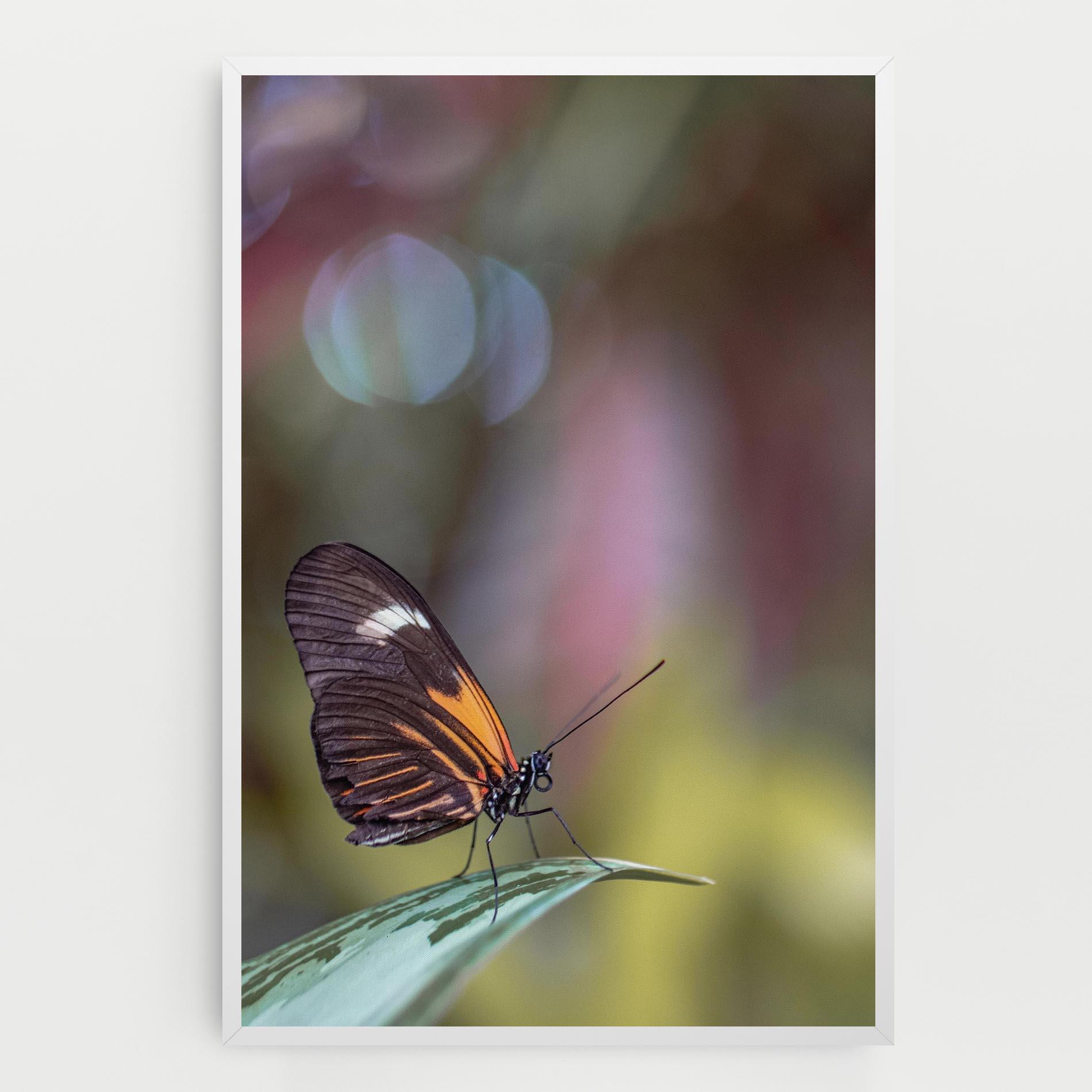 Tablou Canvas Dark Purple Butterfly mockup 0