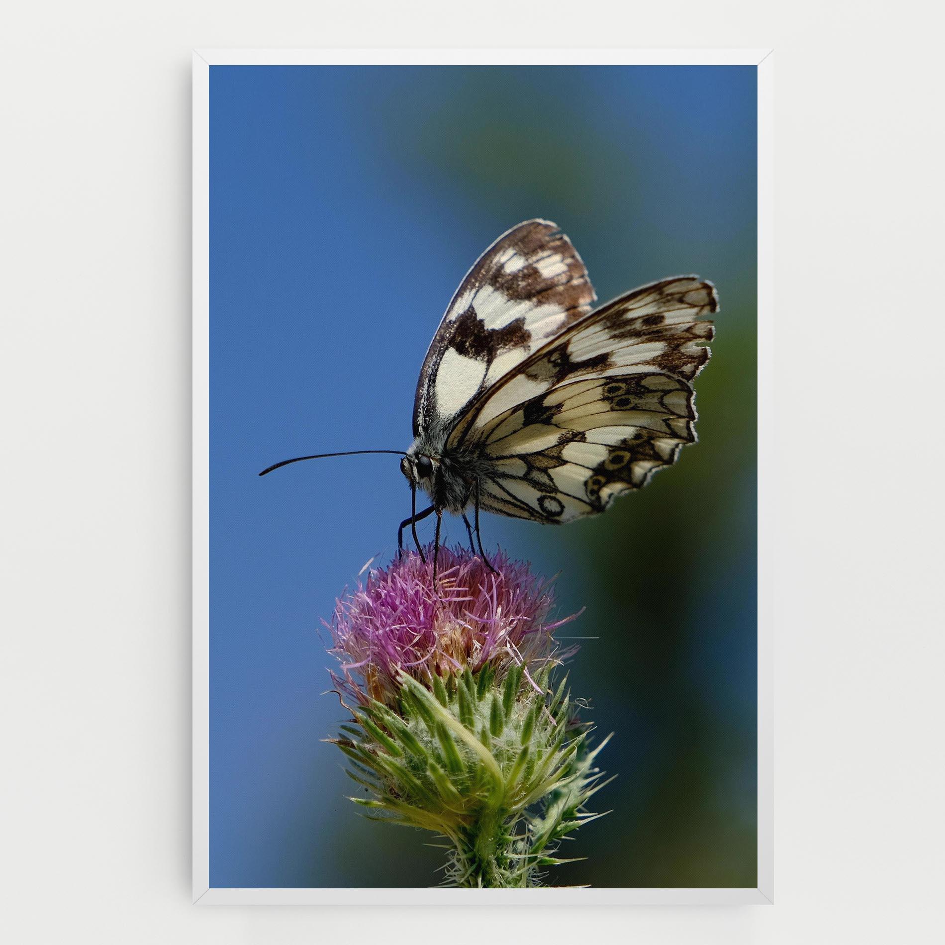 Tablou Canvas Grey White Butterfly mockup 0