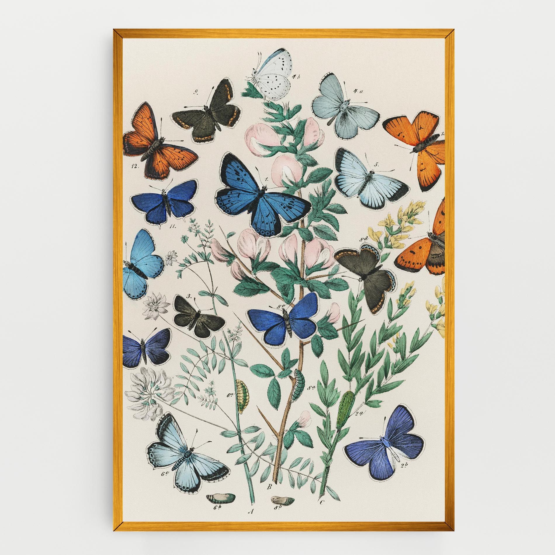 Blue Orange Butterflies mockup 0