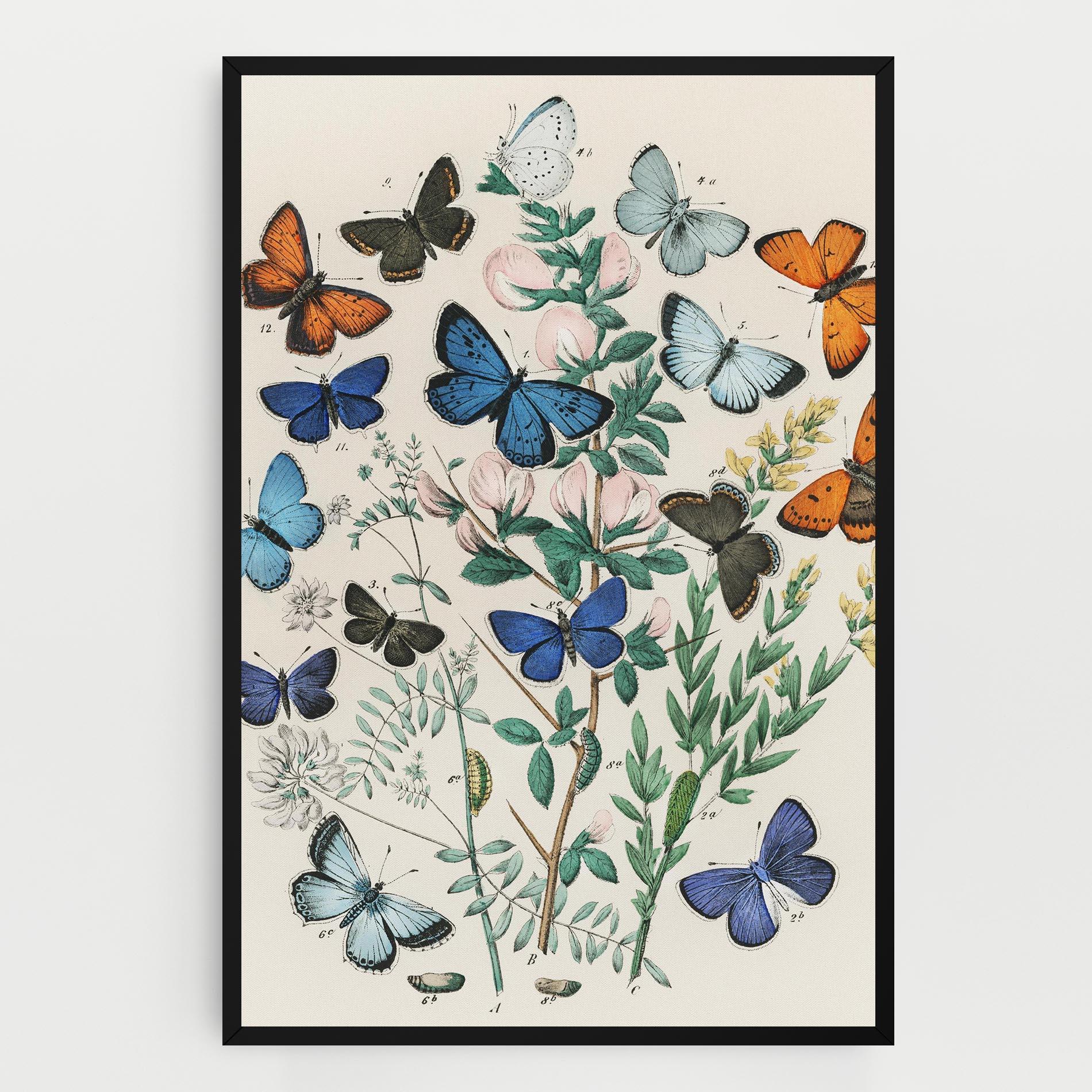 Tablou Canvas Blue Orange Butterflies mockup 0