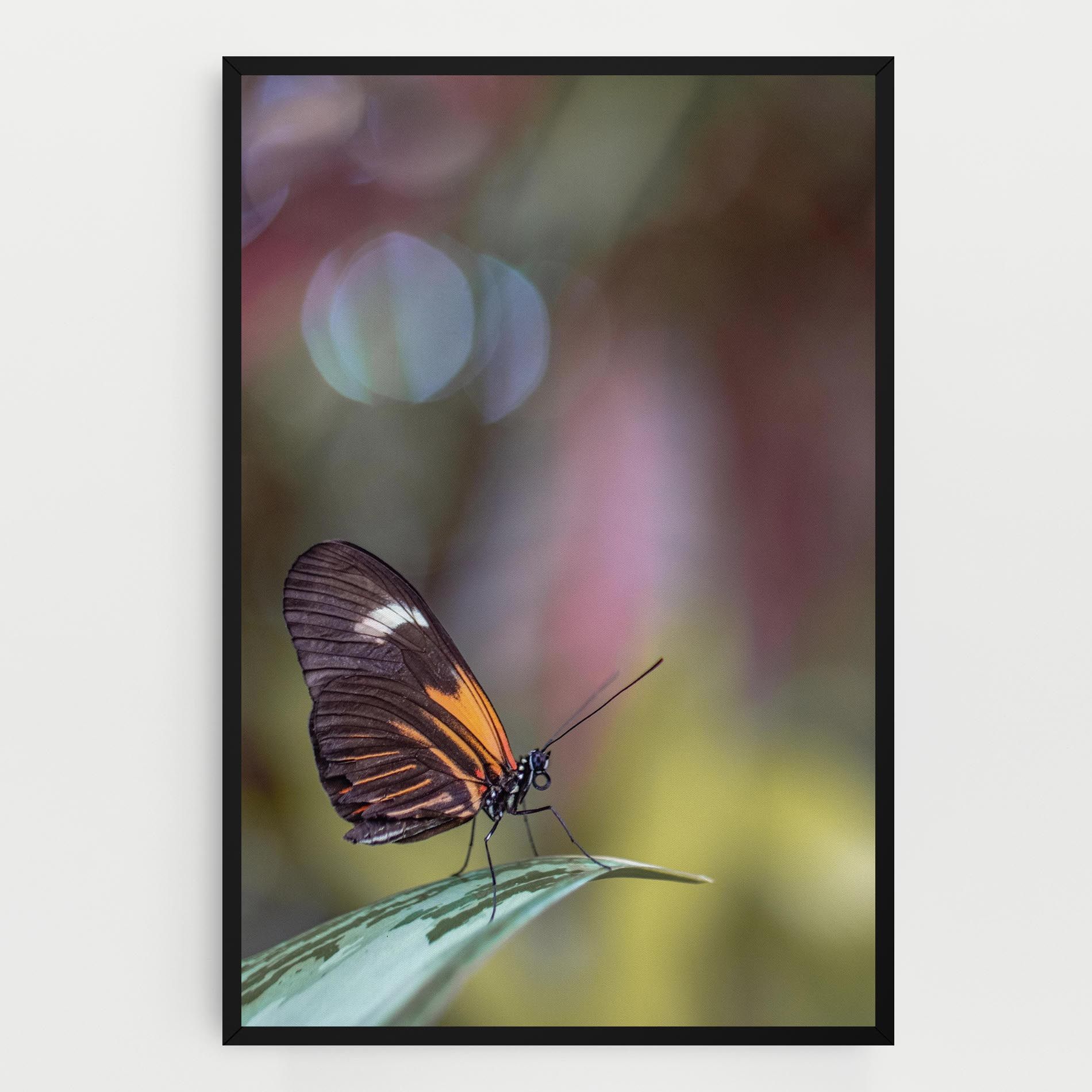 Dark Purple Butterfly mockup 0
