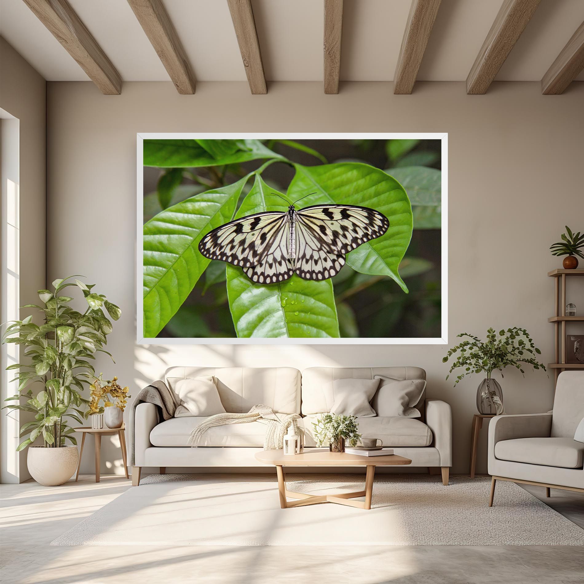 Beautiful White Butterfly mockup 6