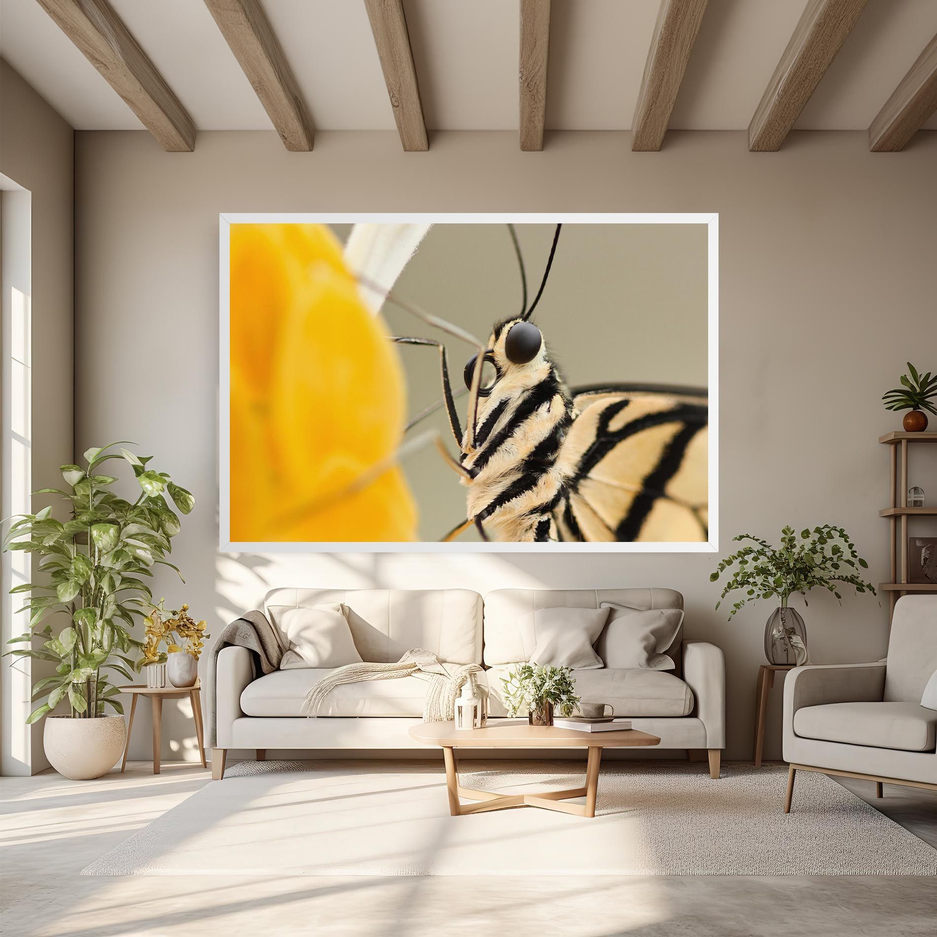 Close Up Cream Butterfly mockup 6