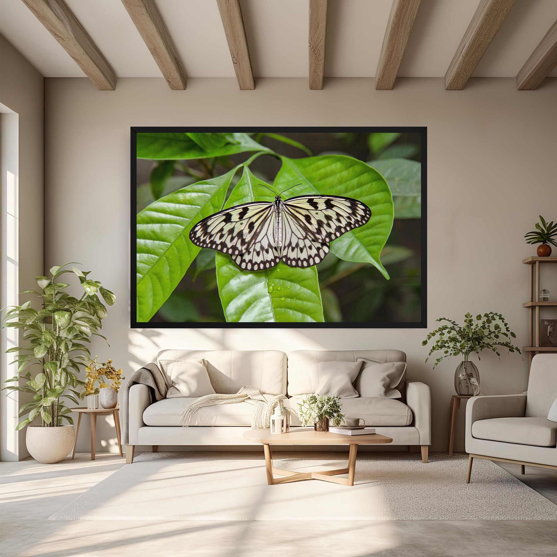 Beautiful White Butterfly mockup 6