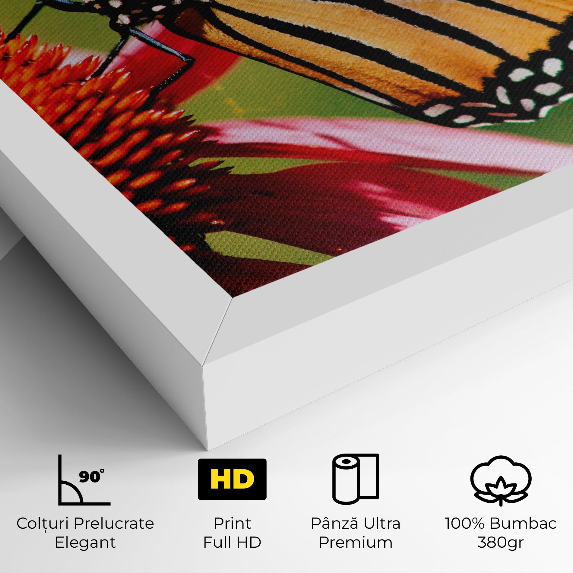 Tablou Canvas Big Orange Butterfly mockup 4