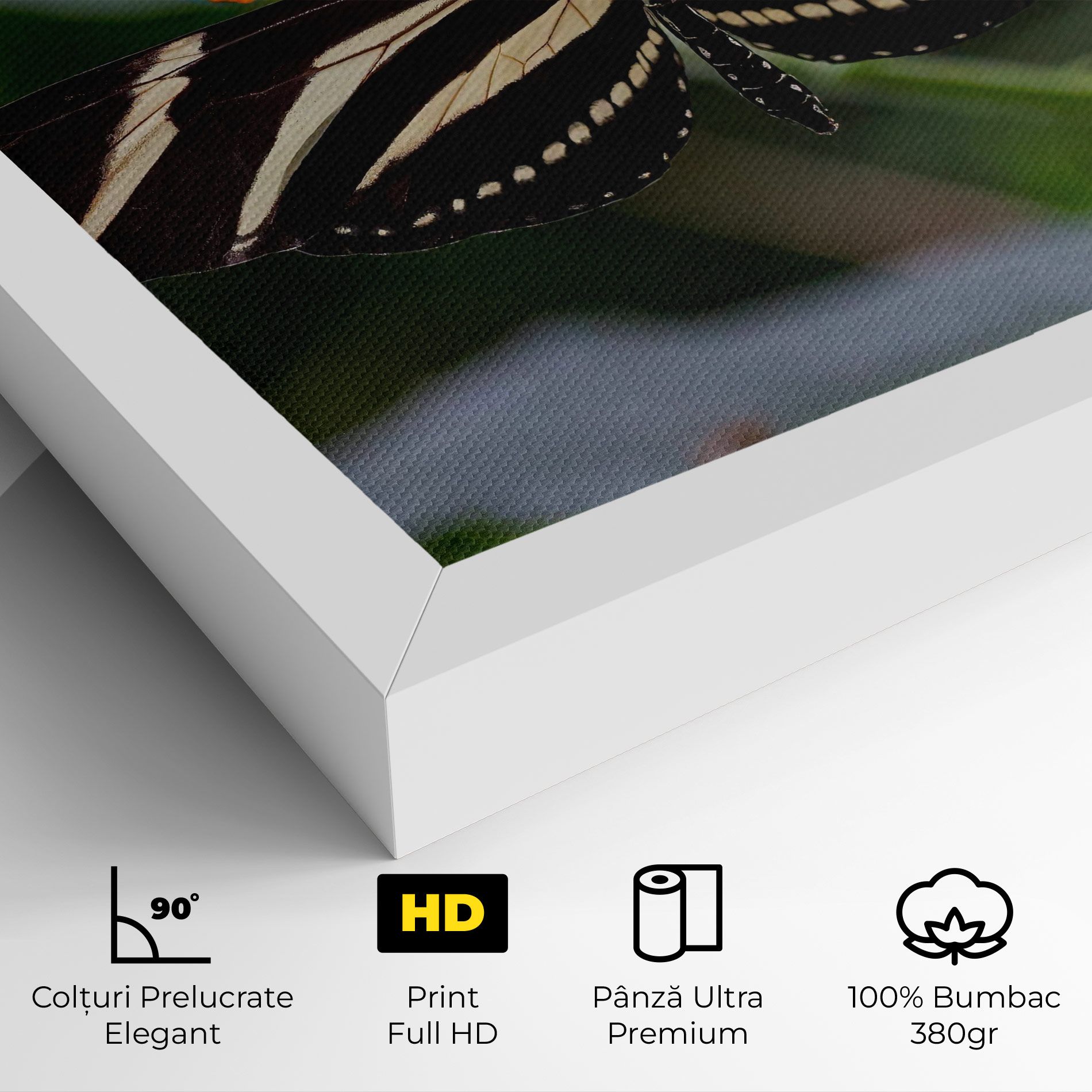 Big Wings Butterfly mockup 4
