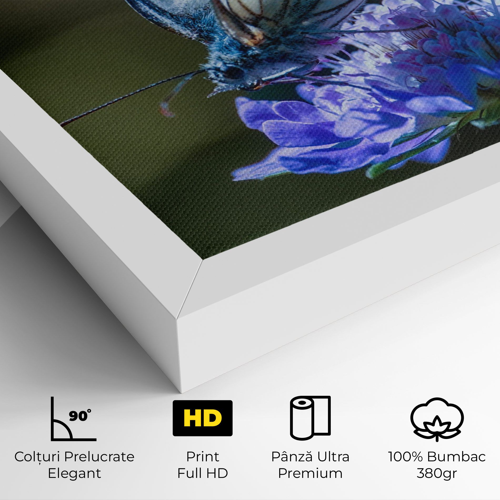 Blue Butterfly In Nature mockup 4