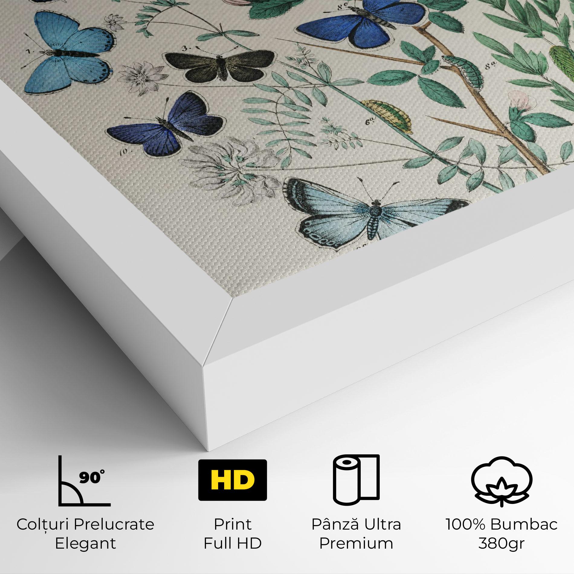 Tablou Canvas Blue Orange Butterflies mockup 4