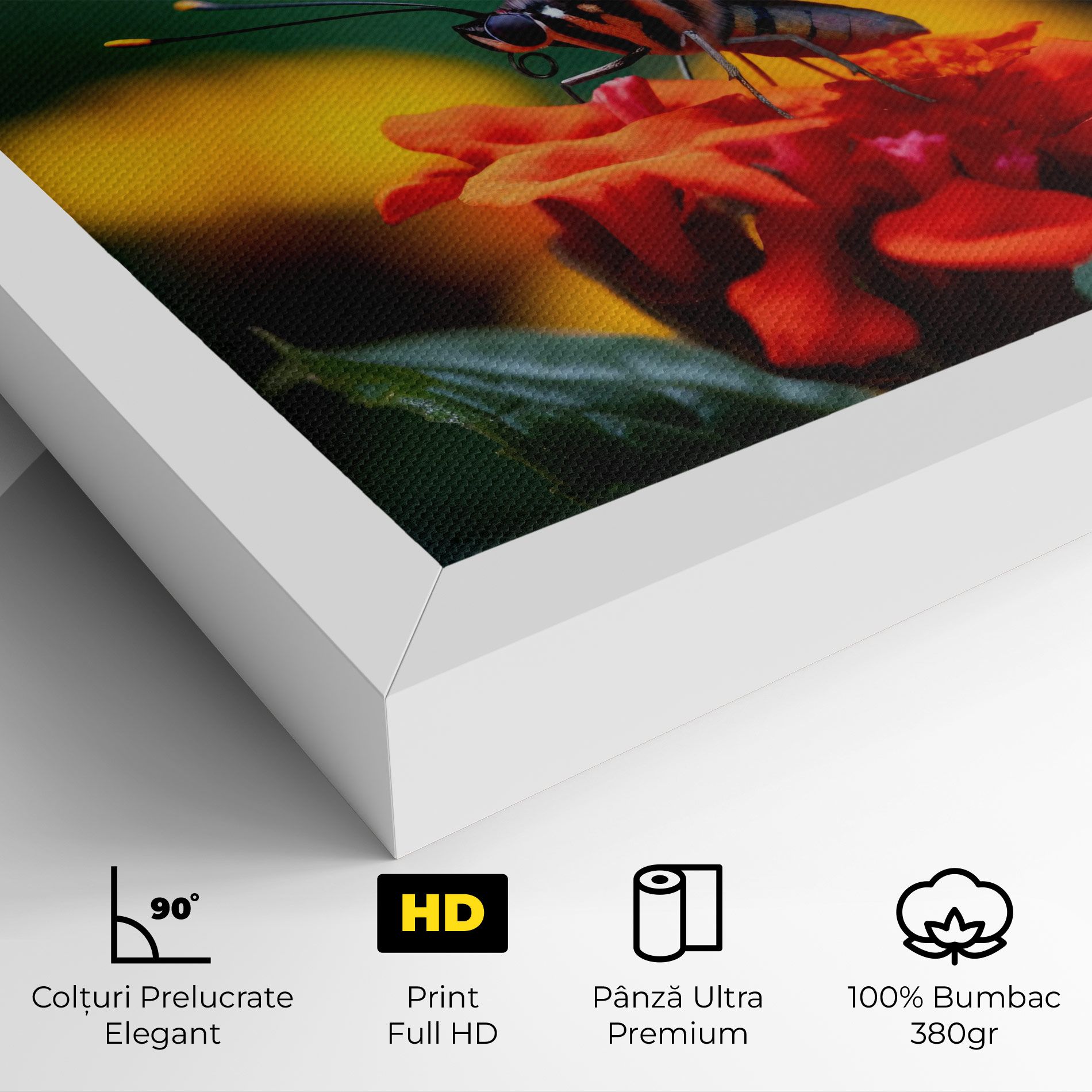 Blue Red Butterfly mockup 4