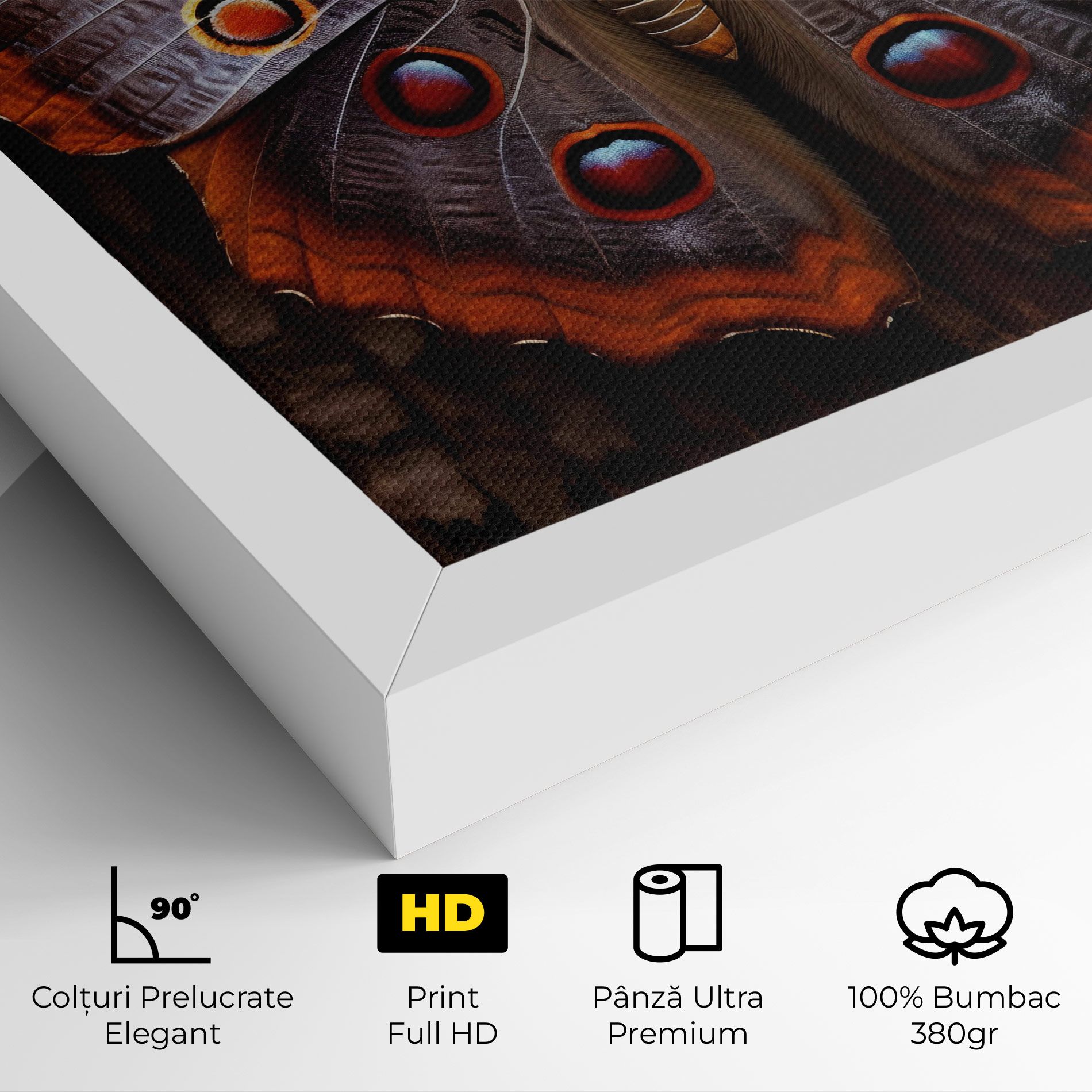Brown Eyes Butterfly mockup 4