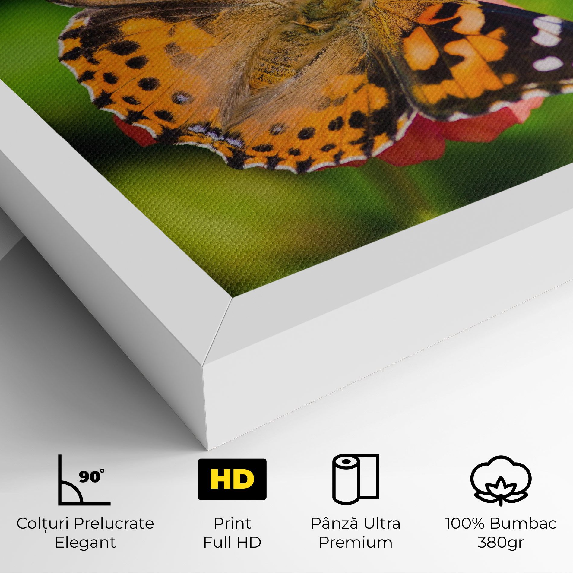 Butterfly On Flower mockup 4