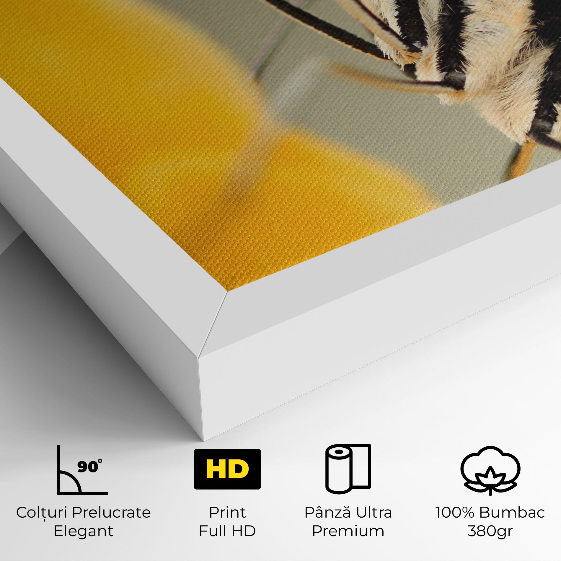 Close Up Cream Butterfly mockup 4