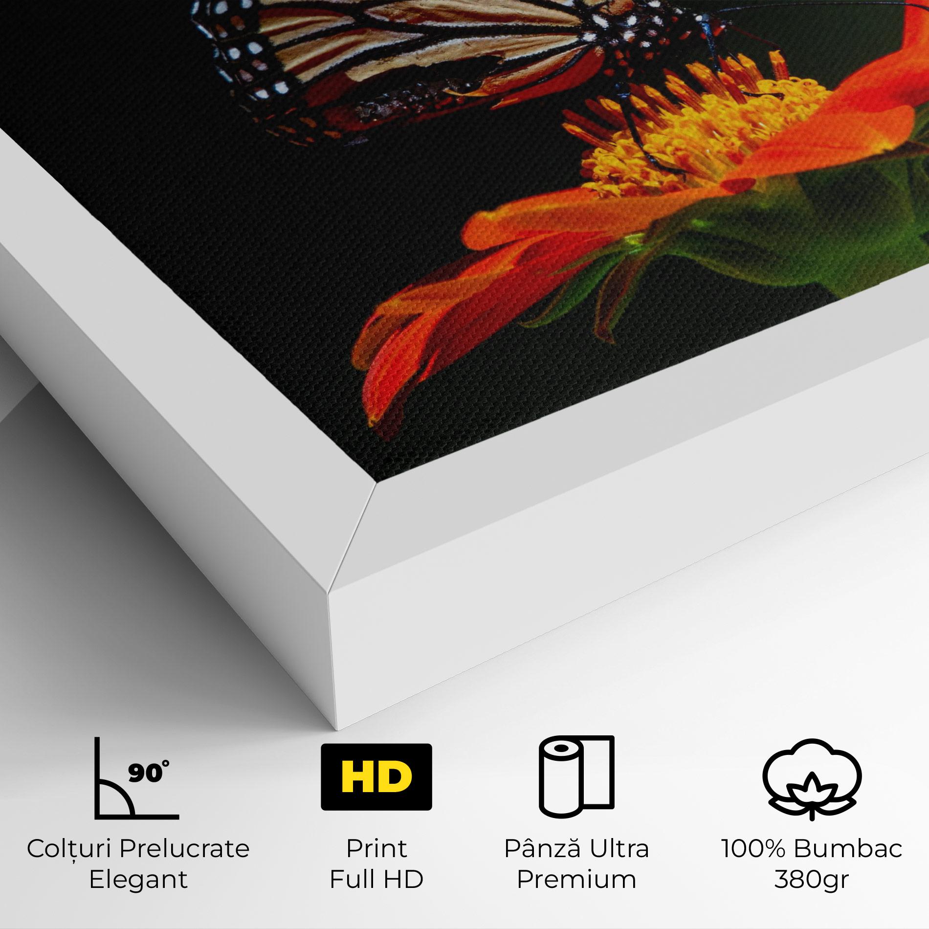 Tablou Canvas Dark Orange Butterfy mockup 4