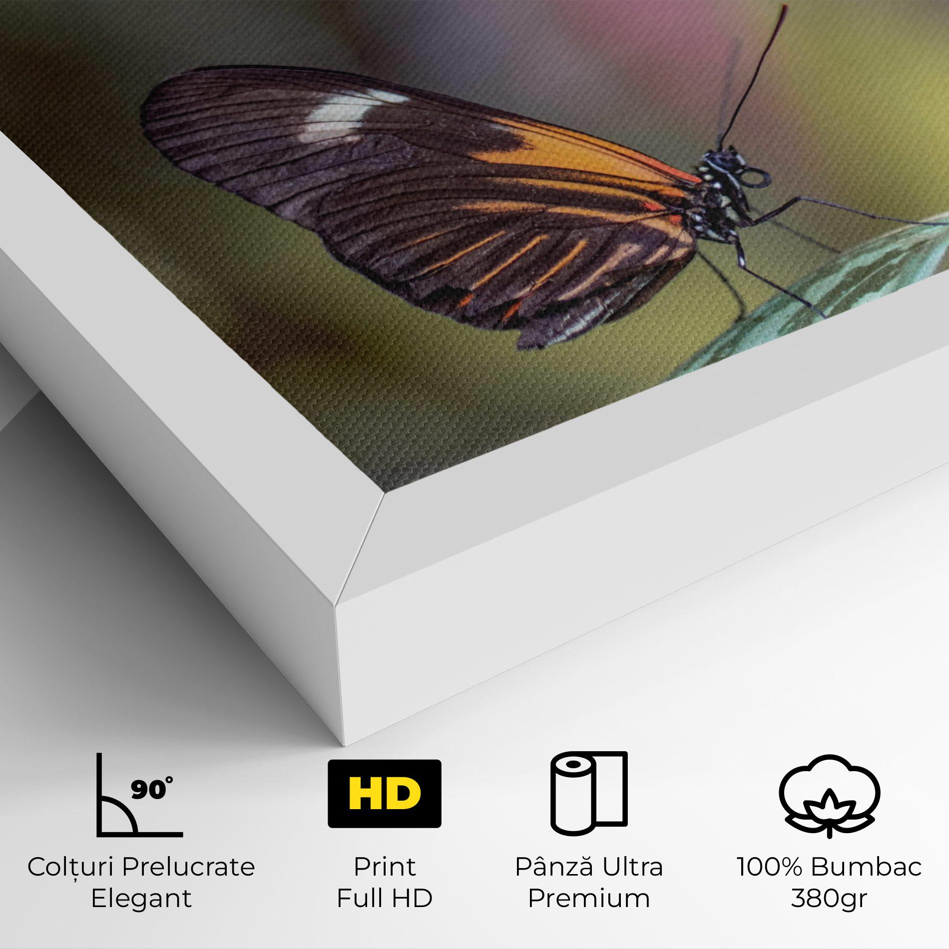 Tablou Canvas Dark Purple Butterfly mockup 4