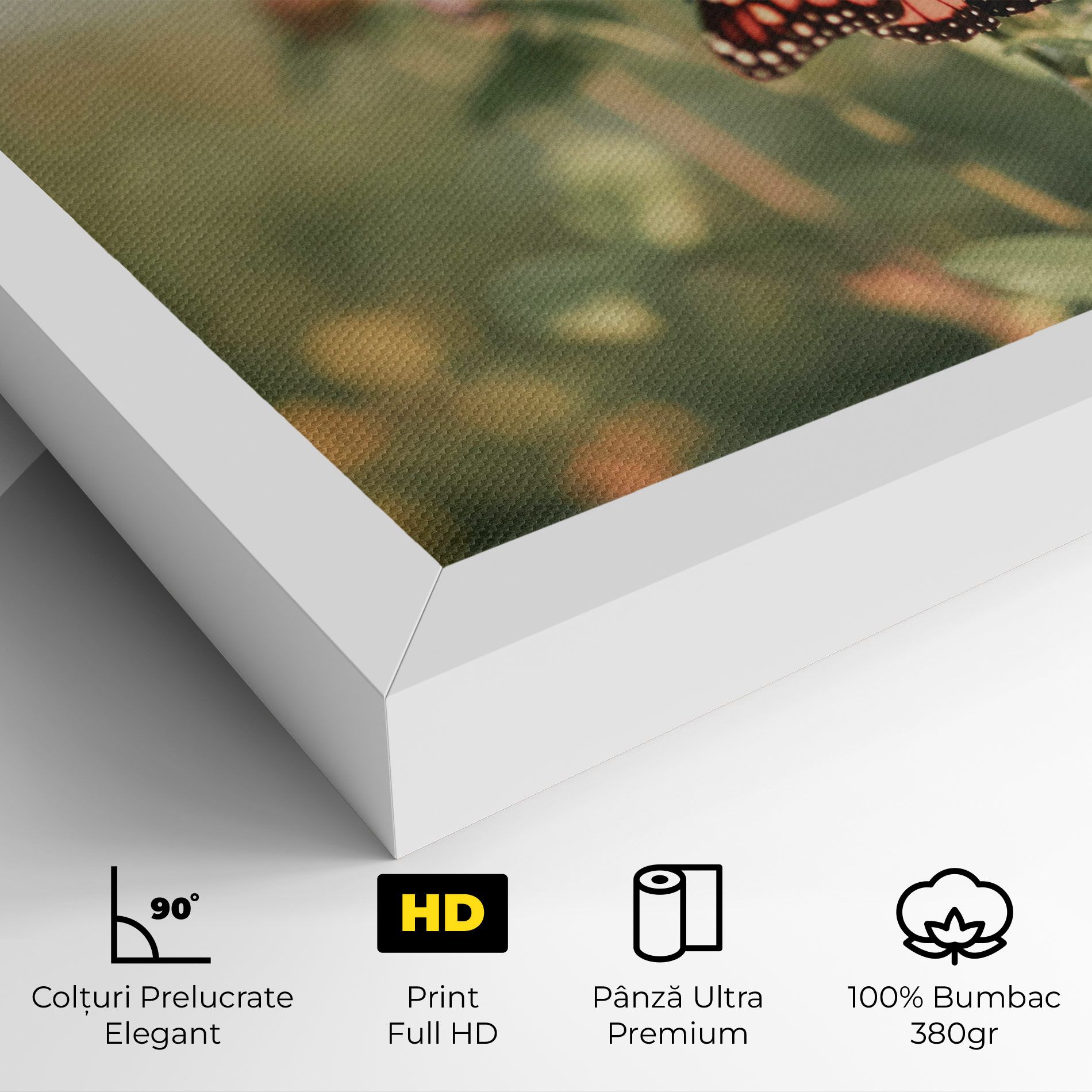 Light Red Butterfly mockup 4