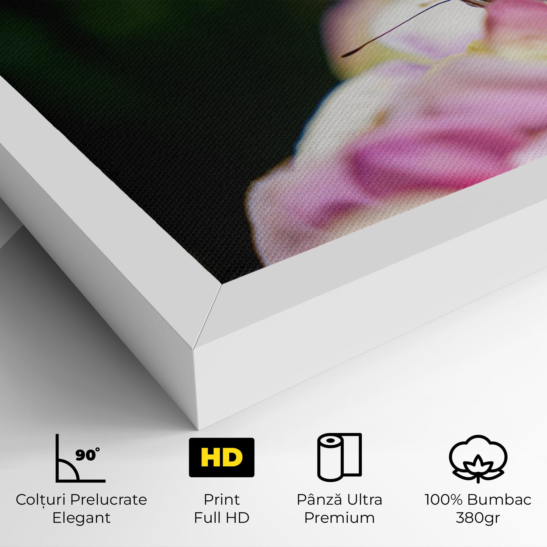 Tablou Canvas Nazrin Babashova DiUUmQMFWys Unsplash mockup 4