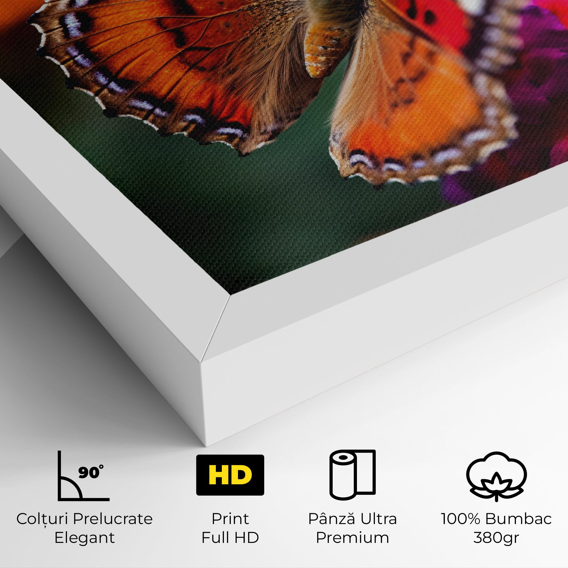 Red Blue Butterfly mockup 4