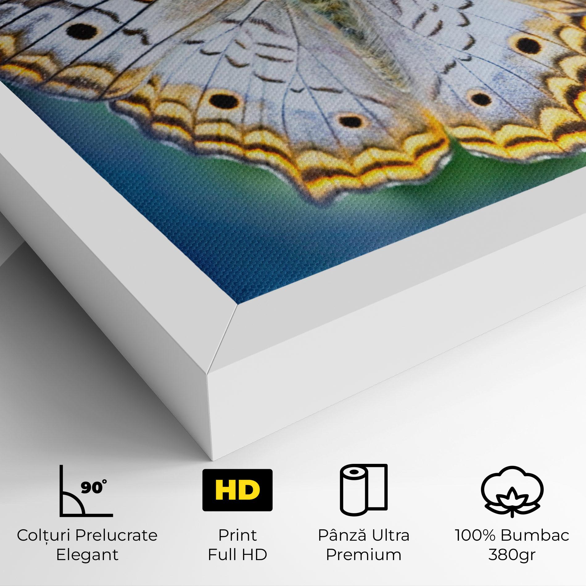 Tablou Canvas Yellow Grey Butterfly mockup 4
