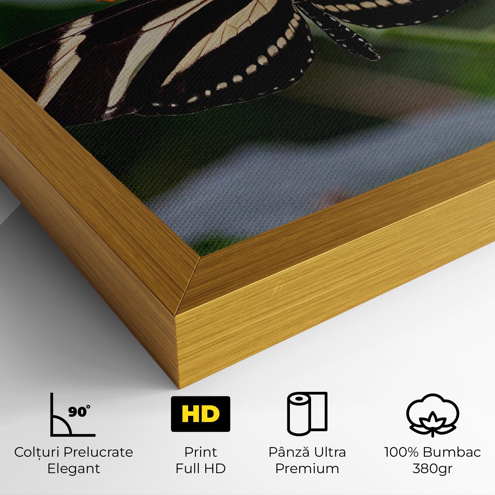 Tablou Canvas Big Wings Butterfly mockup 4