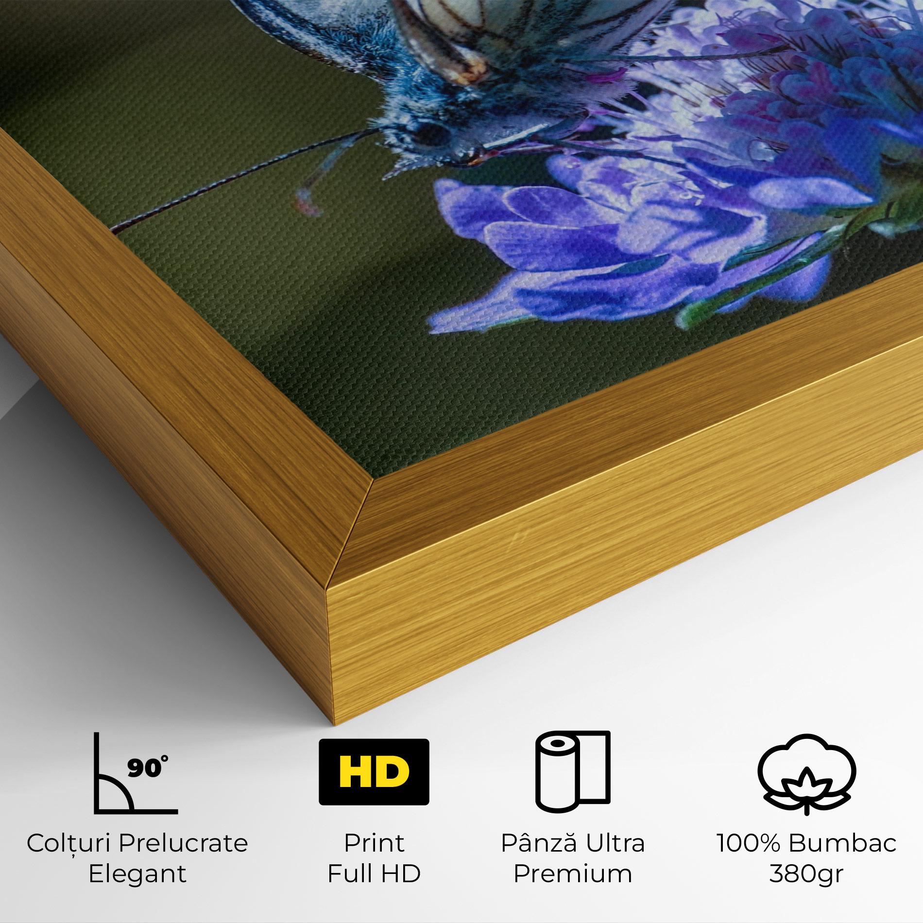 Tablou Canvas Blue Butterfly In Nature mockup 4