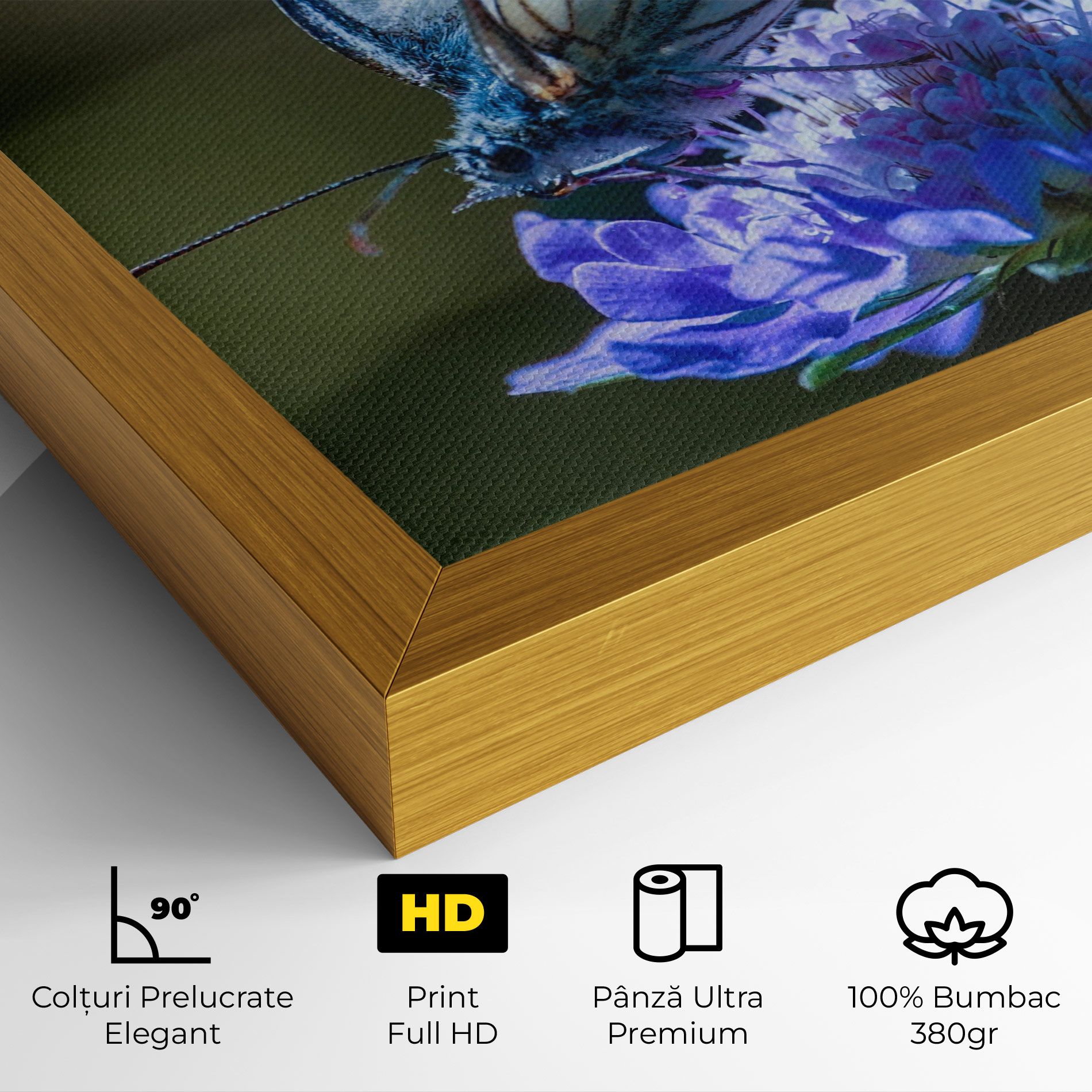 Blue Butterfly In Nature mockup 4