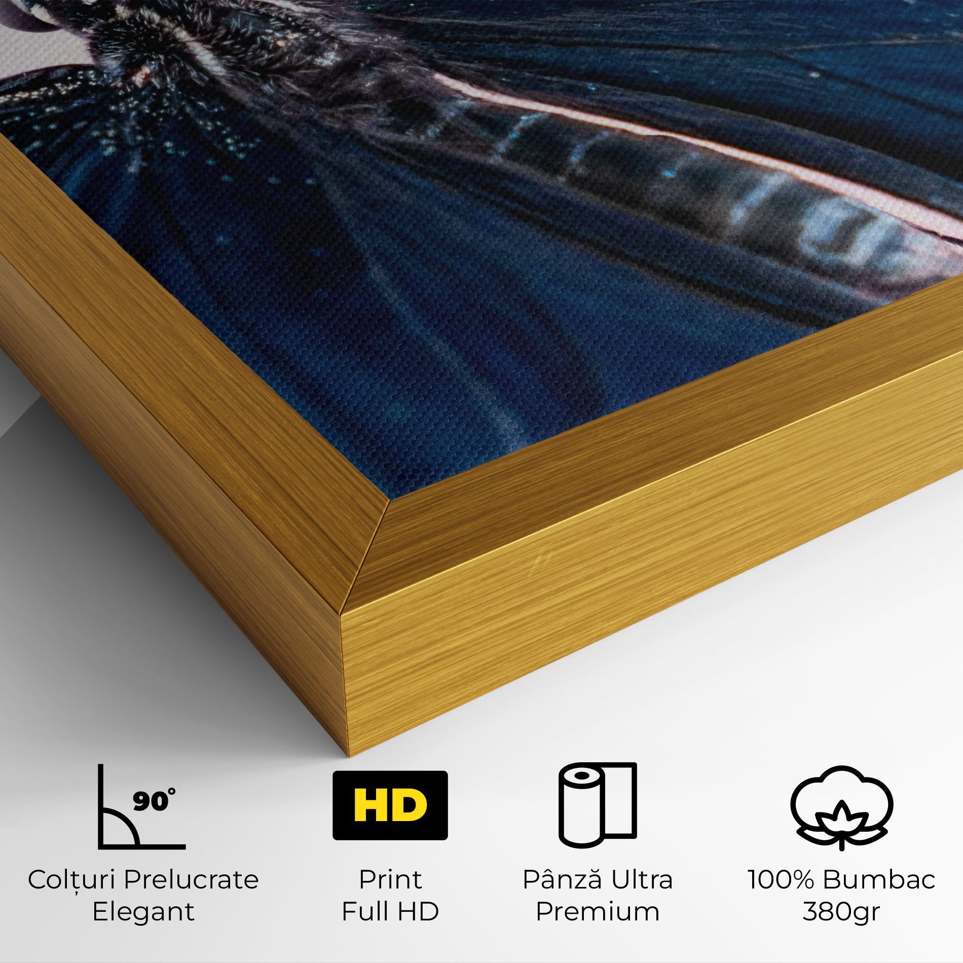 Blue Butterfly mockup 4