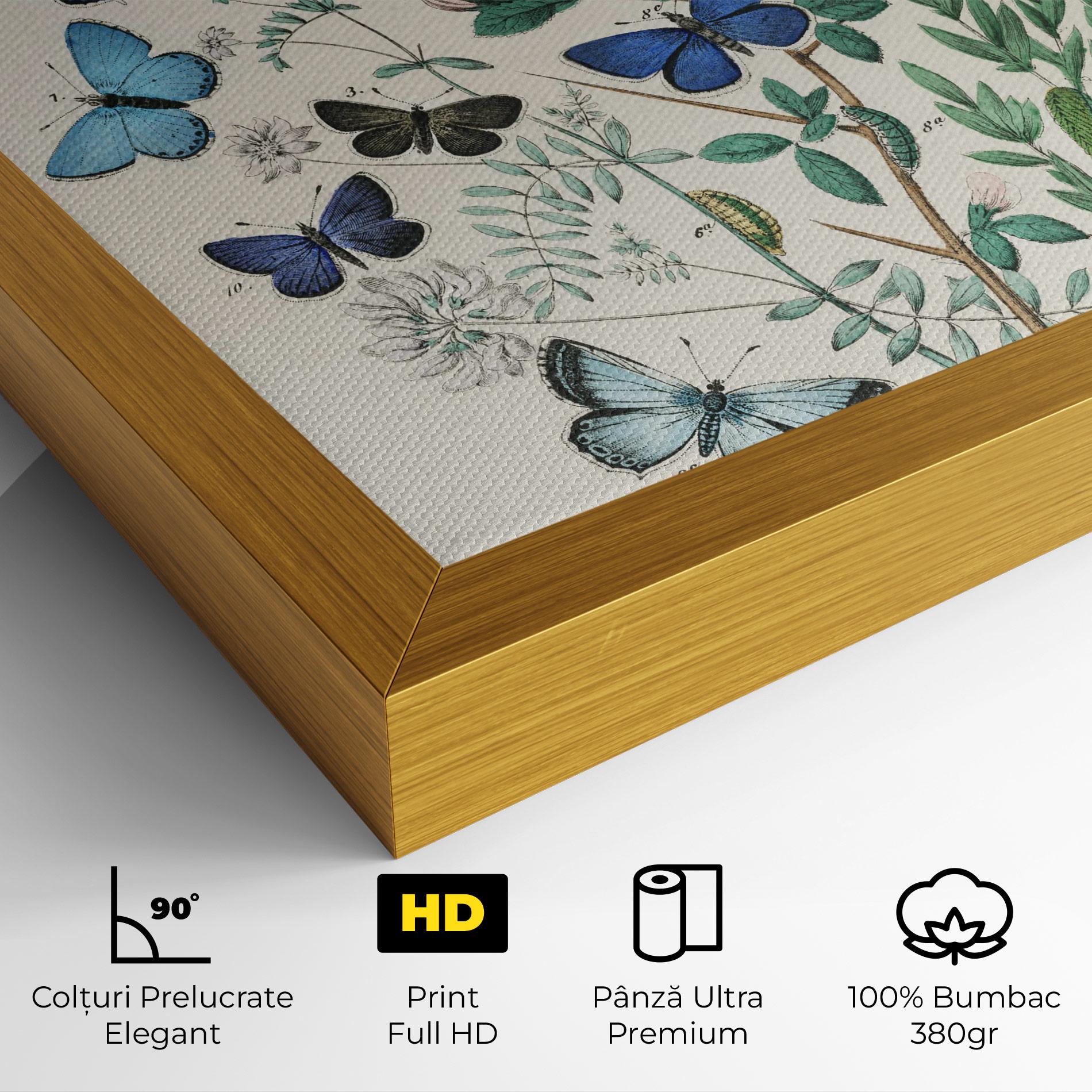 Tablou Canvas Blue Orange Butterflies mockup 4